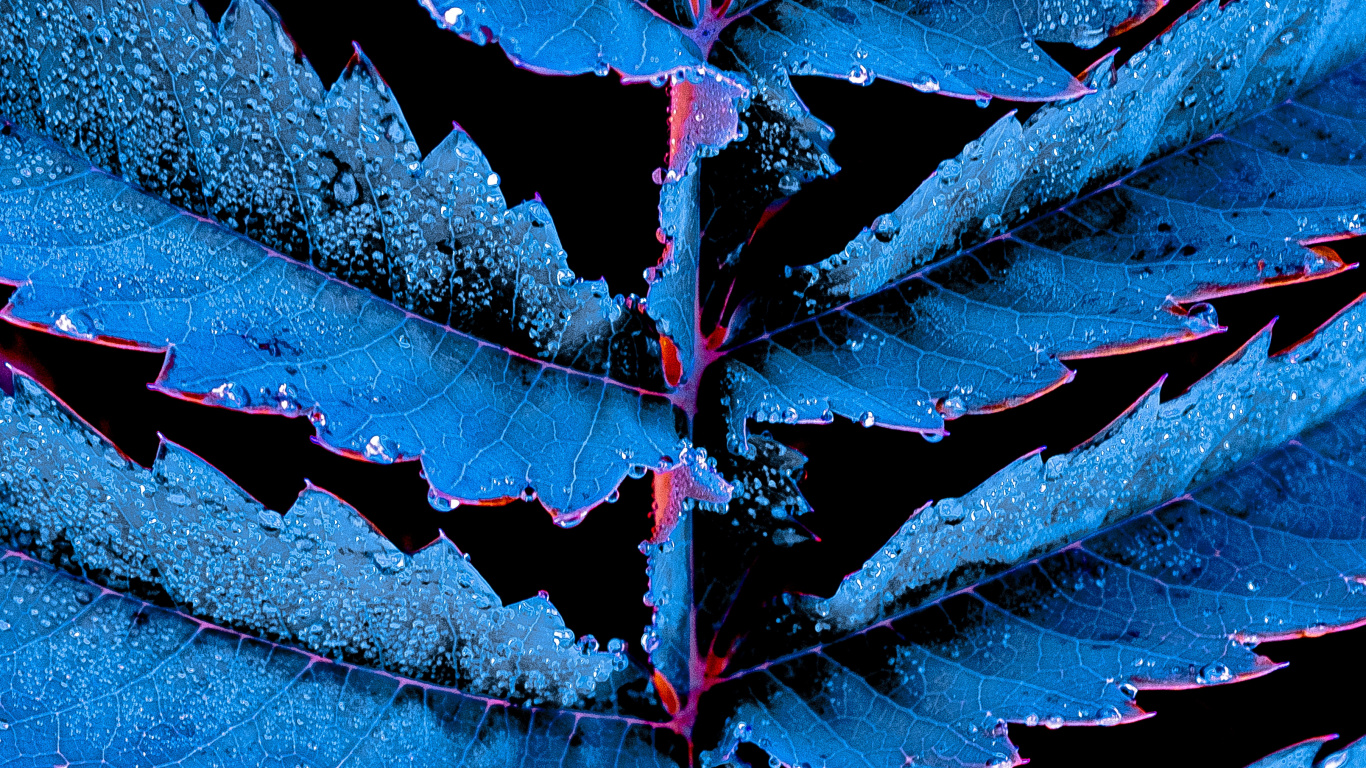 Azul, Fábrica, Sica, Agua, Rojo. Wallpaper in 1366x768 Resolution