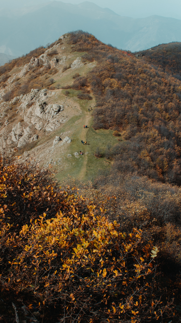 Wildnis, Hill, Blatt, Rock, Pflanzen-Gemeinschaft. Wallpaper in 750x1334 Resolution