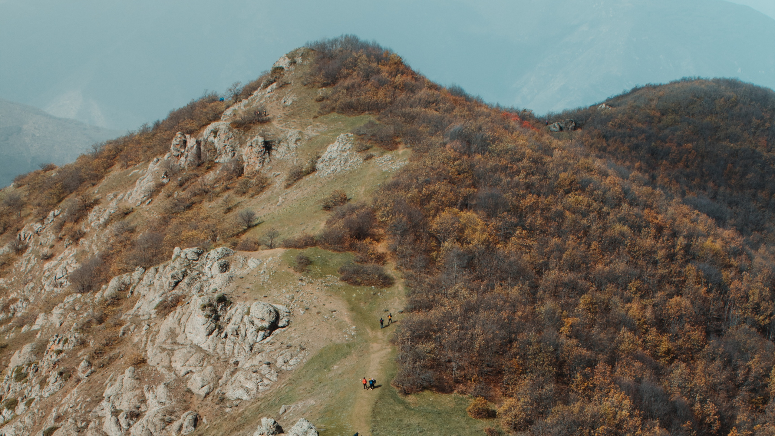 Wilderness, Hill, Leaf, Rock, Plant Community. Wallpaper in 2560x1440 Resolution