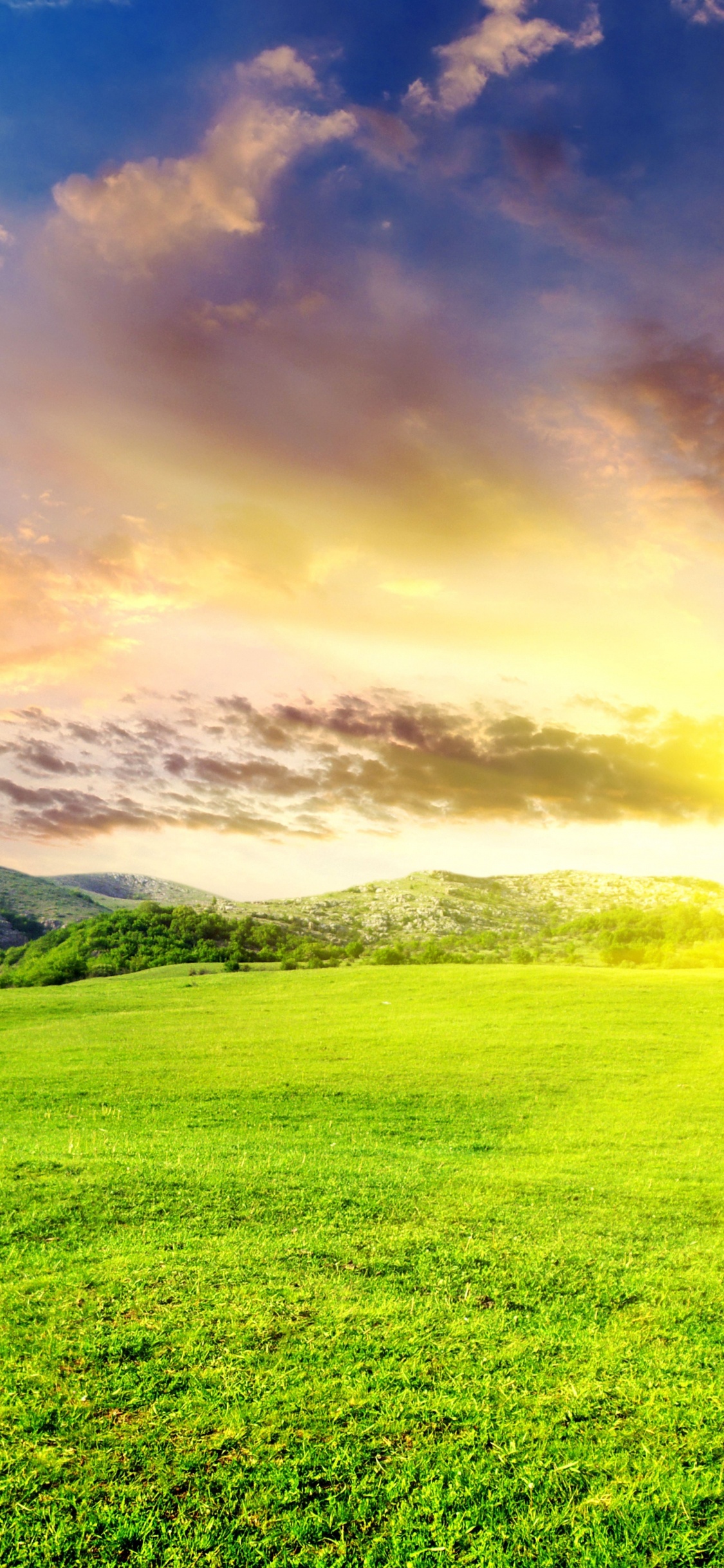 Green Grass Field Under Blue Sky and White Clouds During Daytime. Wallpaper in 1125x2436 Resolution