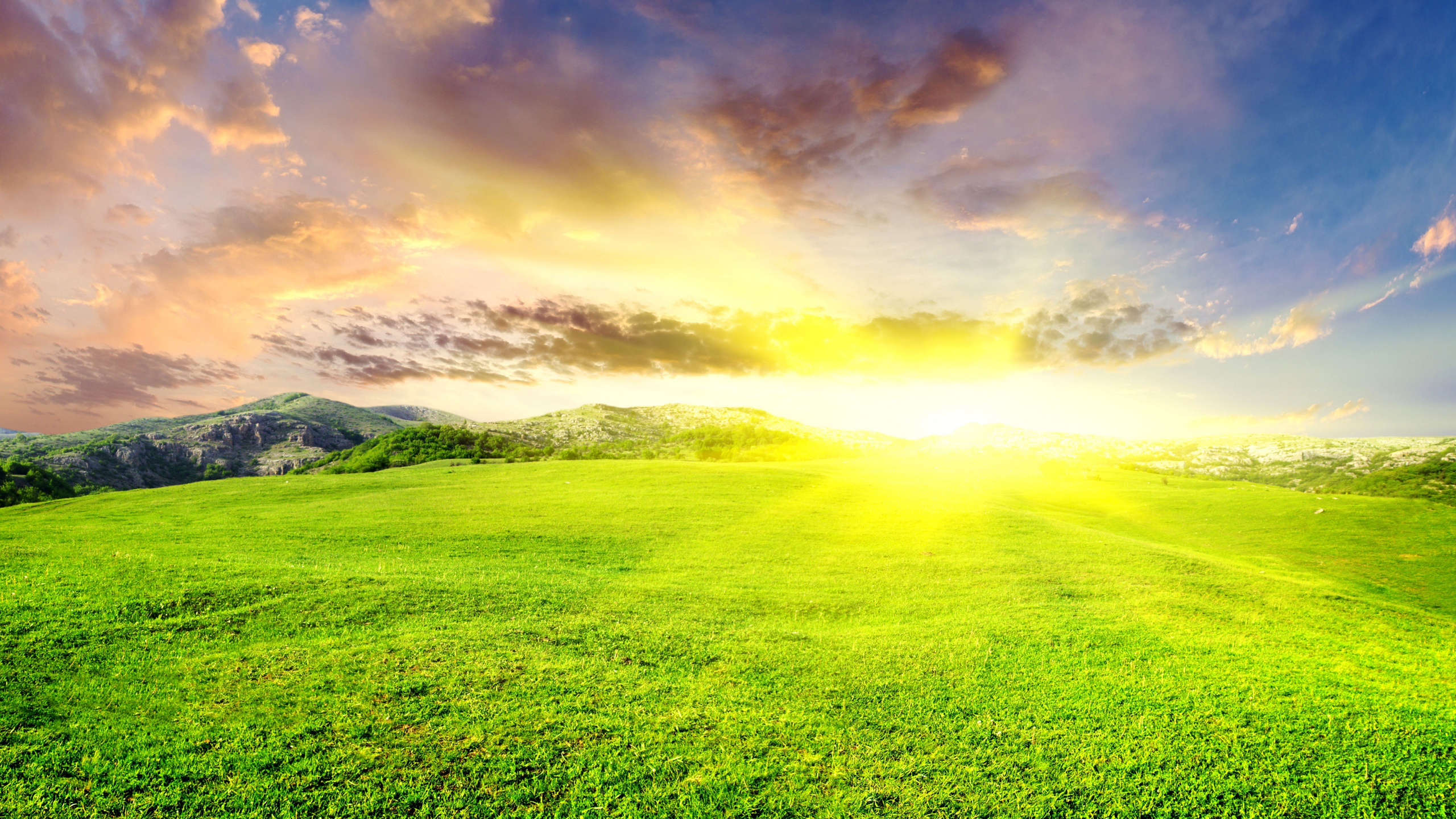 Green Grass Field Under Blue Sky and White Clouds During Daytime. Wallpaper in 2560x1440 Resolution
