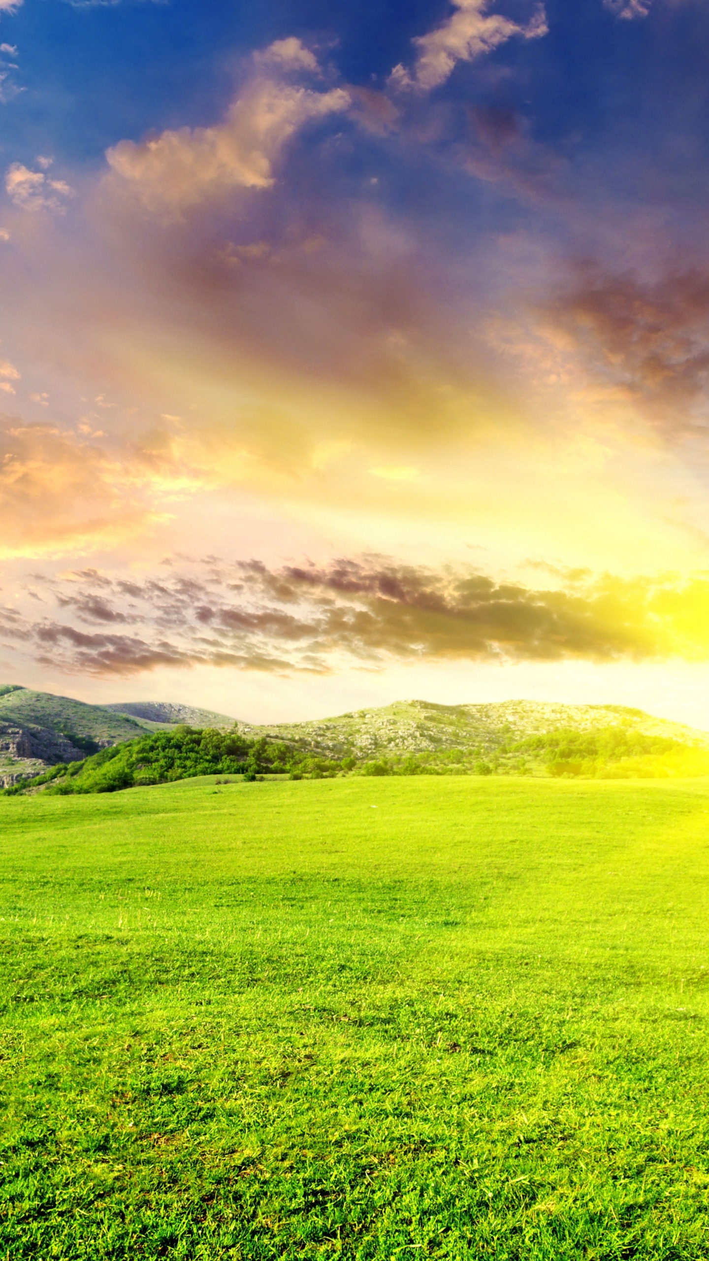 Grüne Wiese Unter Blauem Himmel Und Weißen Wolken Tagsüber. Wallpaper in 1440x2560 Resolution