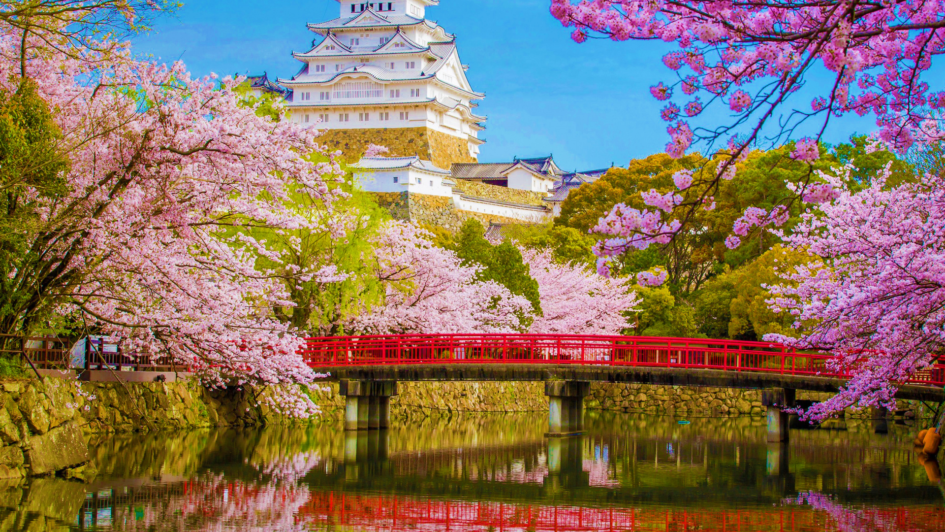 White and Blue Temple Near Body of Water During Daytime. Wallpaper in 1920x1080 Resolution