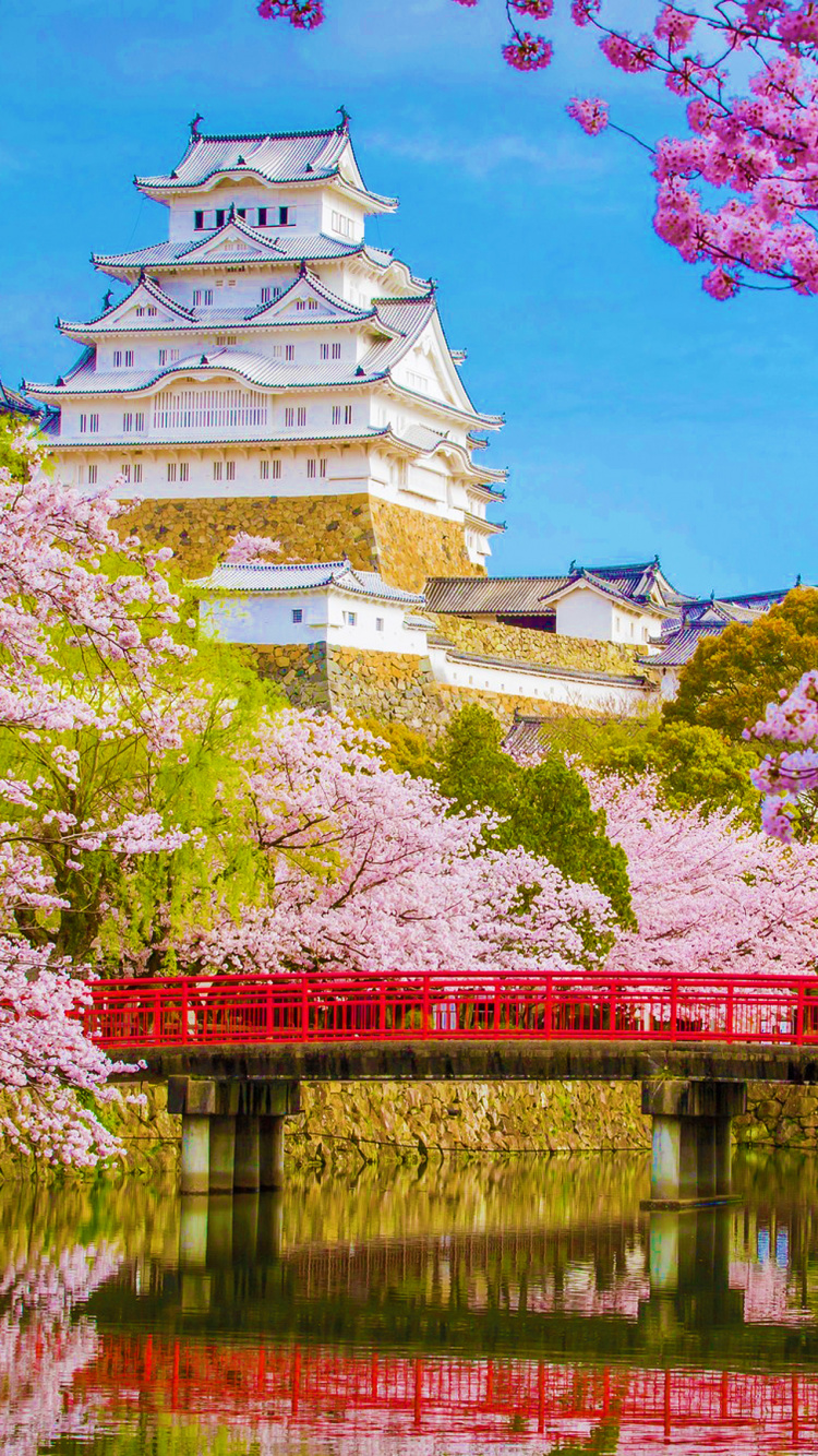 White and Blue Temple Near Body of Water During Daytime. Wallpaper in 750x1334 Resolution