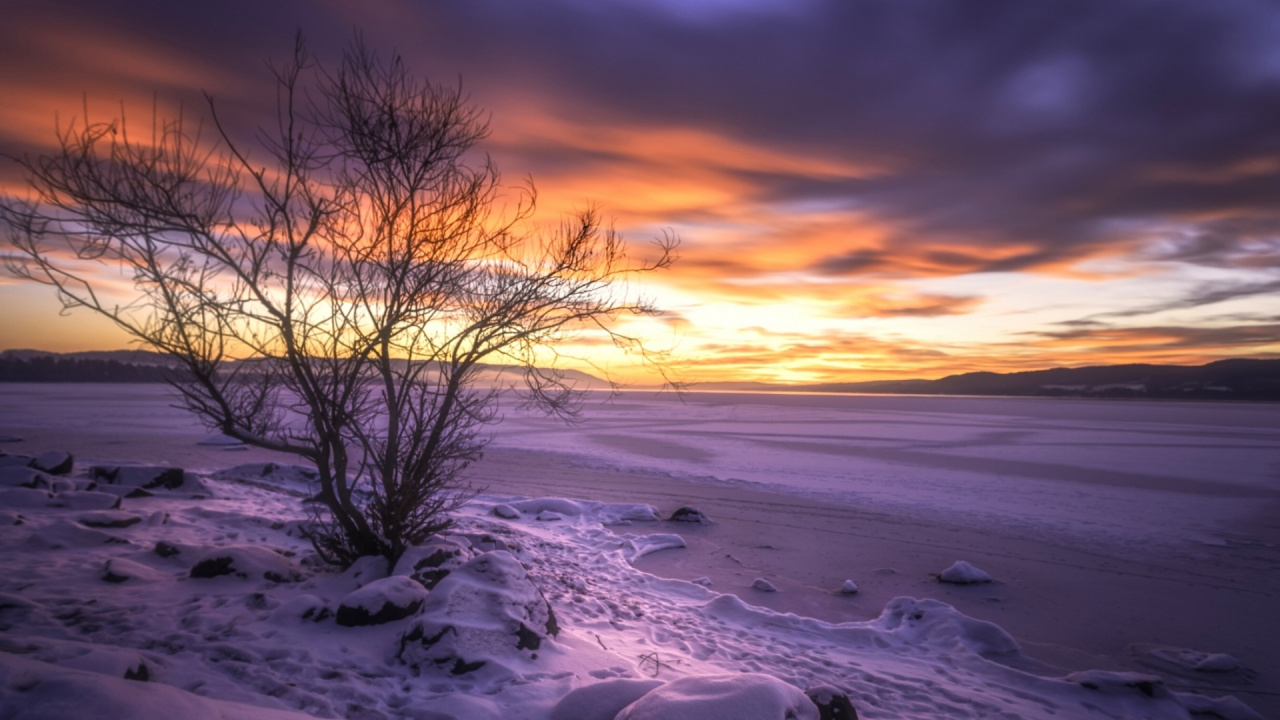 Norway, Cloud, Atmosphere, Plant, Natural Landscape. Wallpaper in 1280x720 Resolution