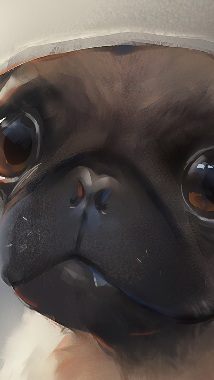 Chien Noir et Blanc Portant un Chapeau Blanc. Wallpaper in 720x1280 Resolution