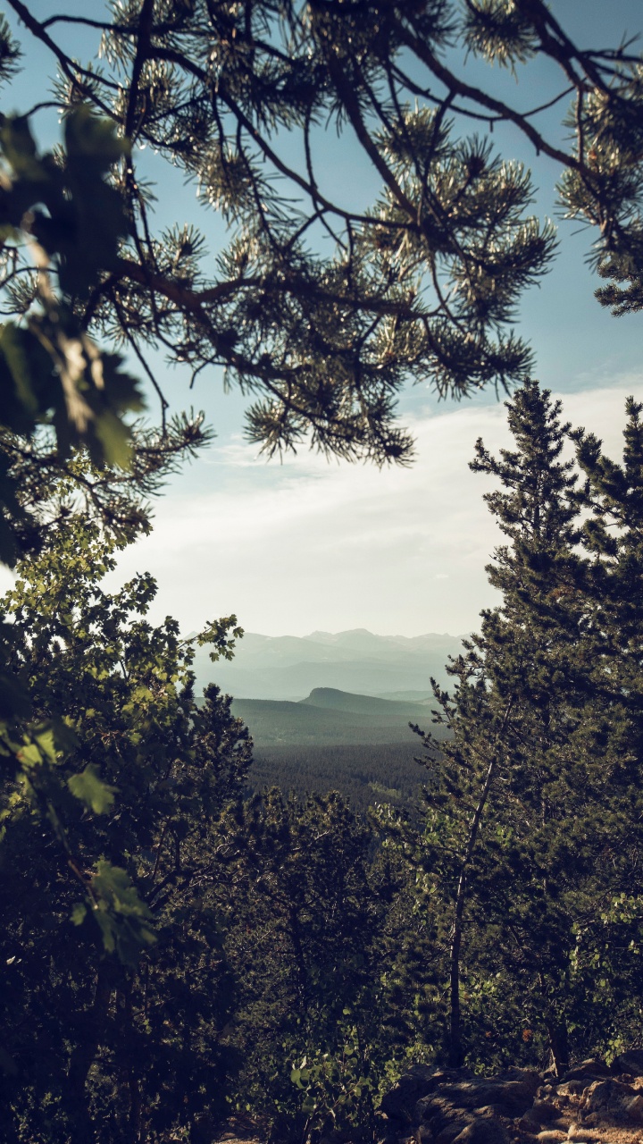 Nature, Tree, Mountain, Woody Plant, Vegetation. Wallpaper in 720x1280 Resolution