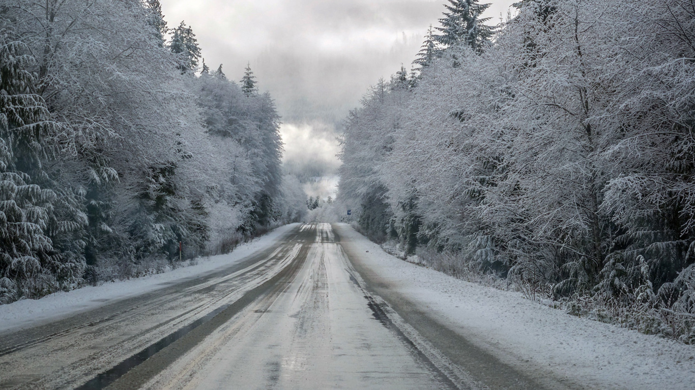 Gray Road Between Green Trees During Daytime. Wallpaper in 1366x768 Resolution