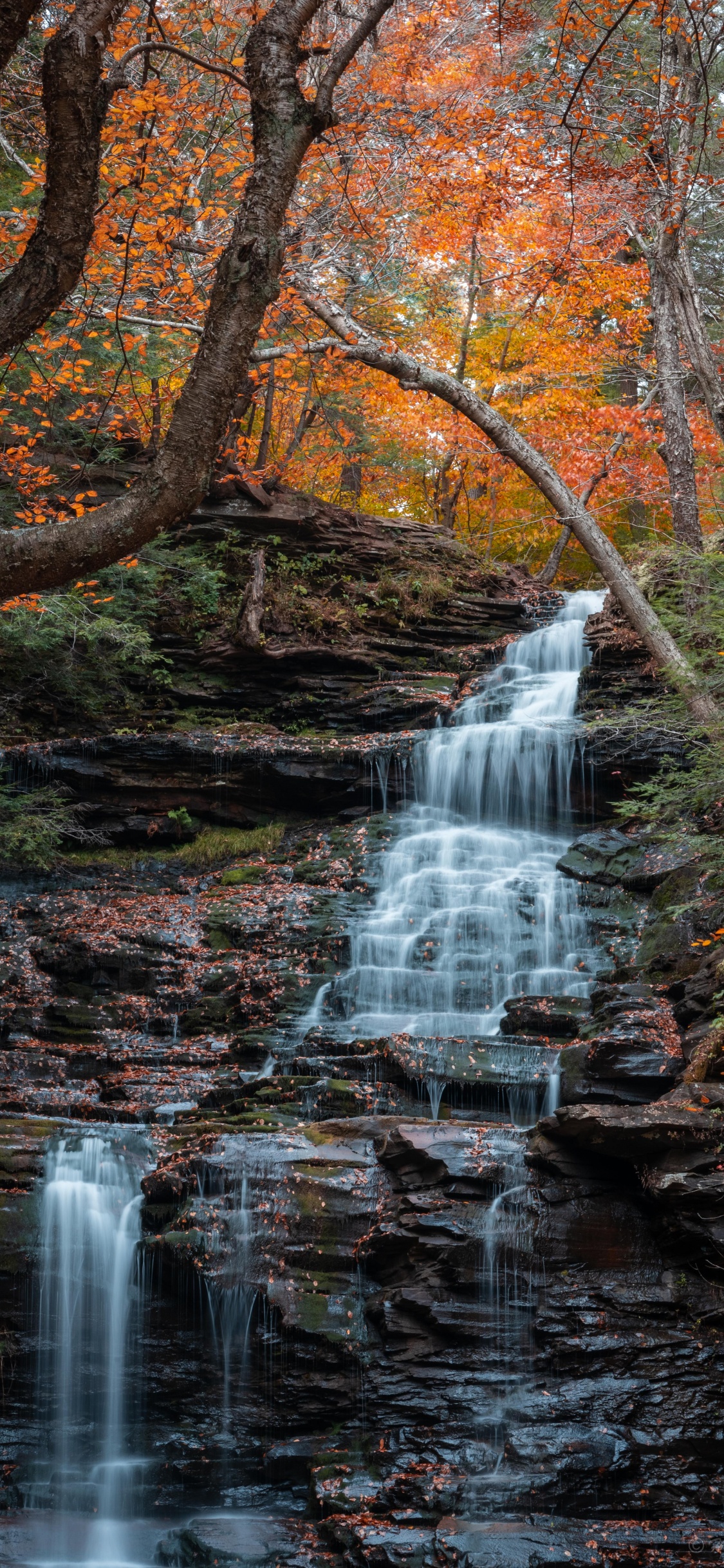 Cascade, Eau, L'écorégion, Environnement Naturel, Paysage Naturel. Wallpaper in 1125x2436 Resolution