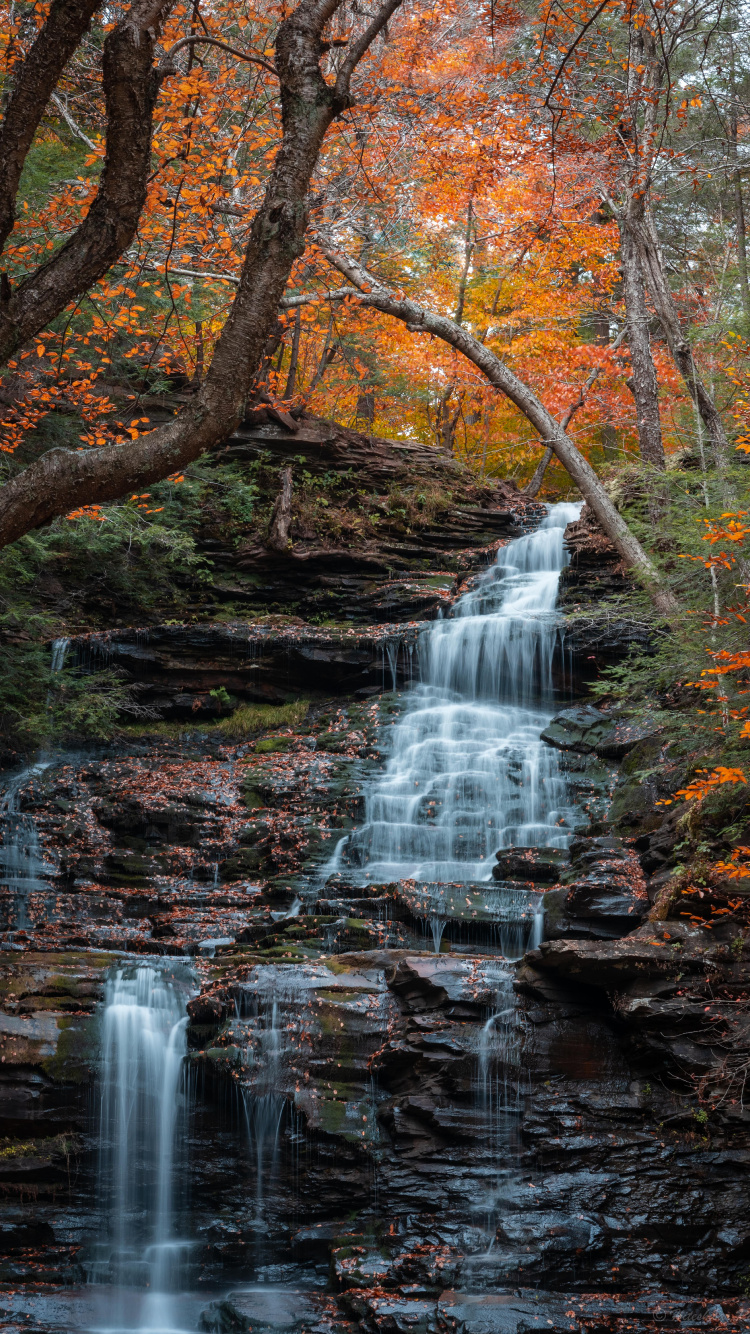 Wasserfall, Wasser, Ökoregion, Natürlichen Umgebung, Naturlandschaft. Wallpaper in 750x1334 Resolution