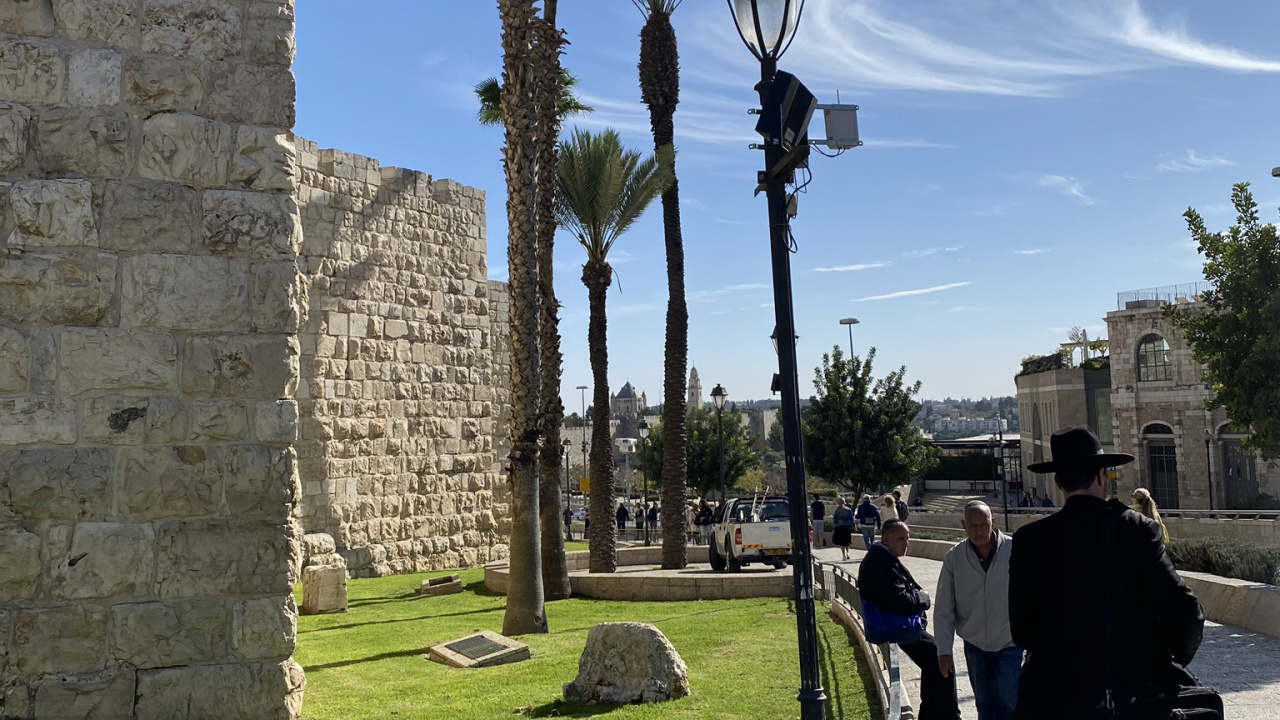 Jerusalem, Palm Tree, Tourism, Palm Trees, Tourist Attraction. Wallpaper in 1280x720 Resolution