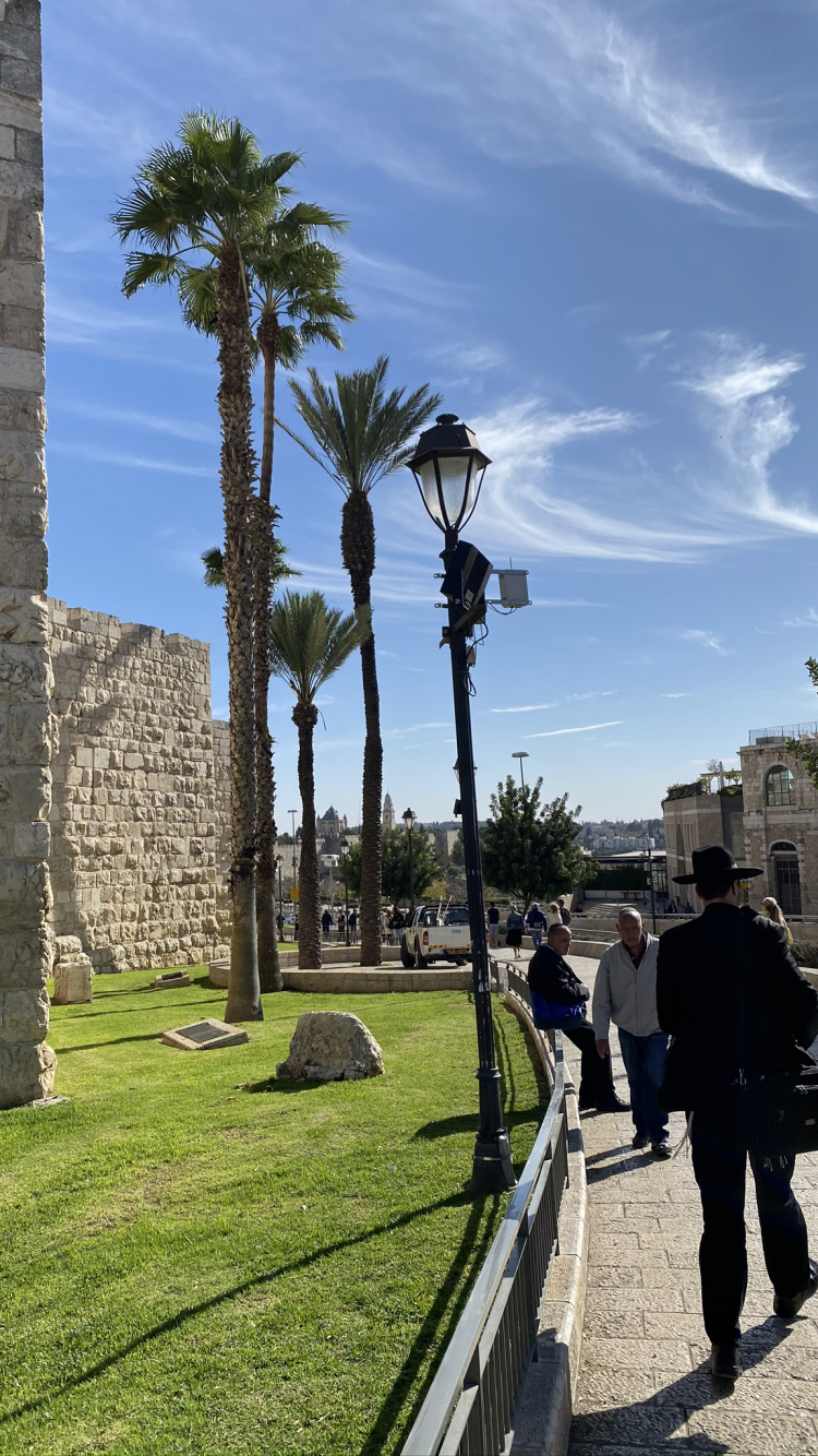 Jerusalem, Palm Tree, Tourism, Palm Trees, Tourist Attraction. Wallpaper in 750x1334 Resolution