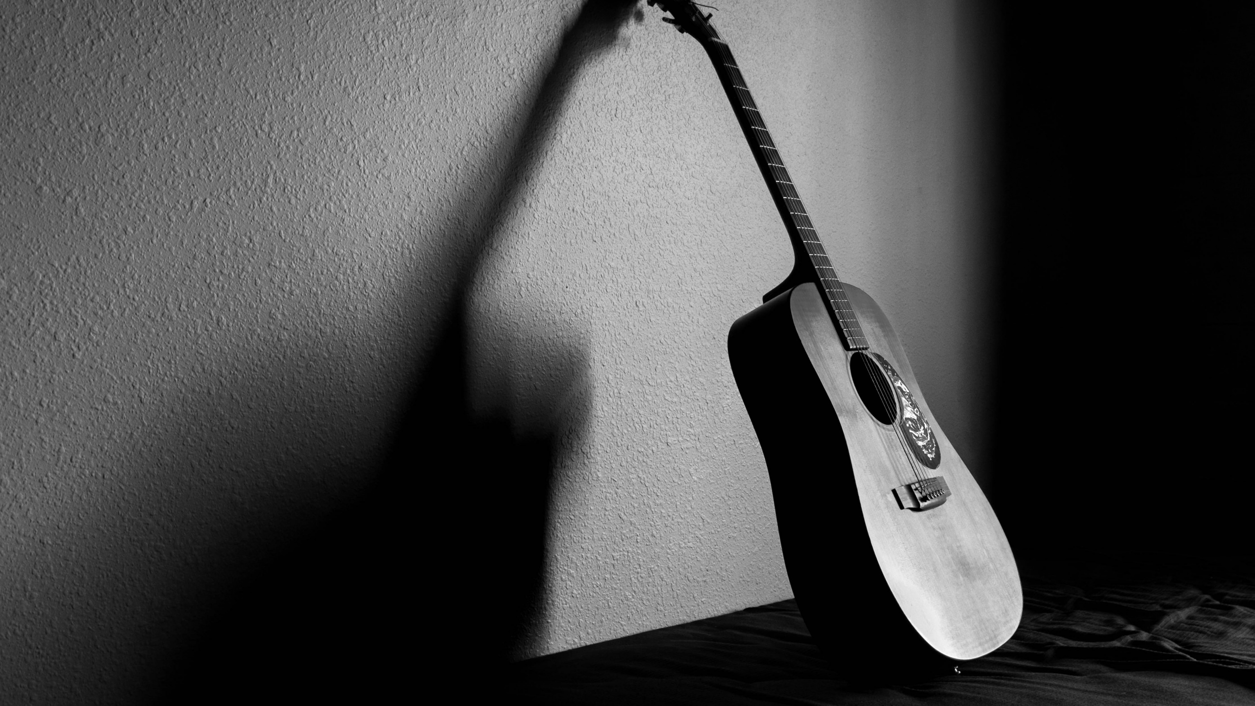 吉他, 声吉他, 拨弦乐器, 麦克风, 黑色和白色的 壁纸 2560x1440 允许
