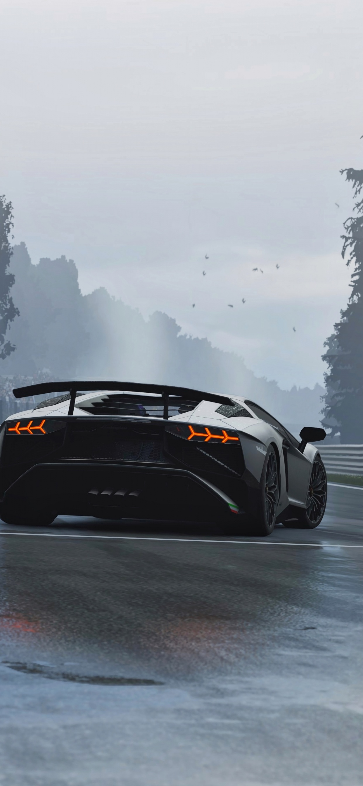 Porsche 911 Noire Sur L'eau. Wallpaper in 1242x2688 Resolution