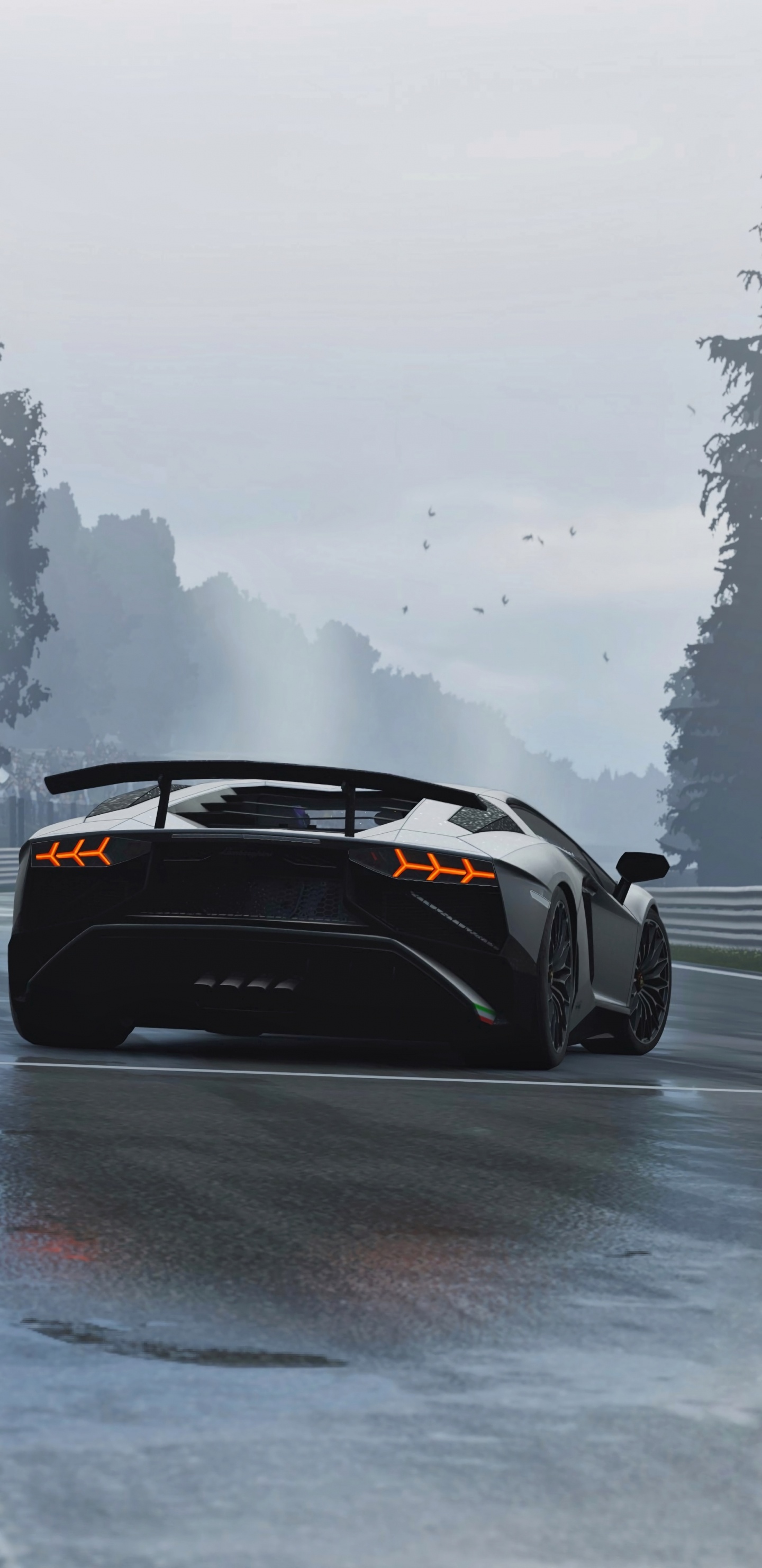 Black Porsche 911 on Water. Wallpaper in 1440x2960 Resolution