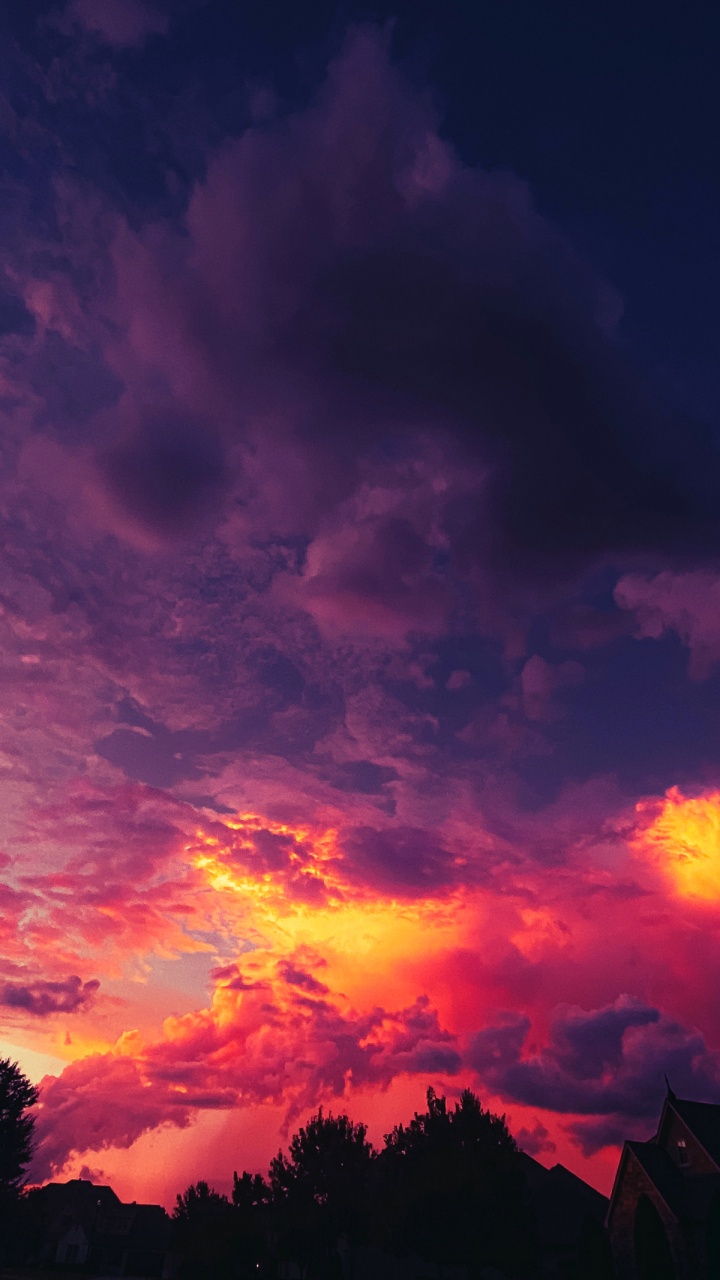 想, 报价, 文本, 气氛, 生态区 壁纸 720x1280 允许