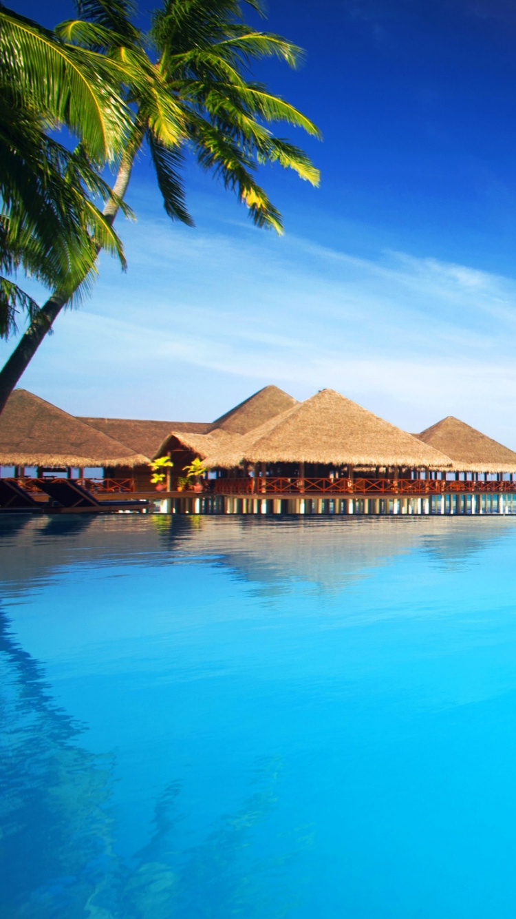 热带地区, 度假胜地, 大海, 海洋, 加勒比 壁纸 750x1334 允许