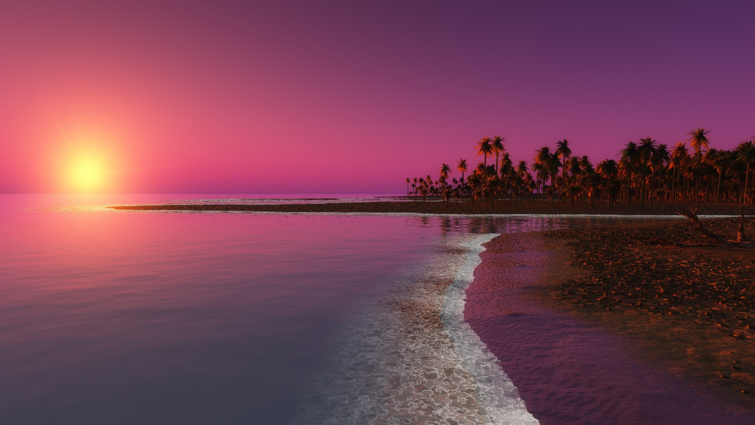 Arbres Verts Près du Plan D'eau Pendant la Journée. Wallpaper in 2560x1440 Resolution