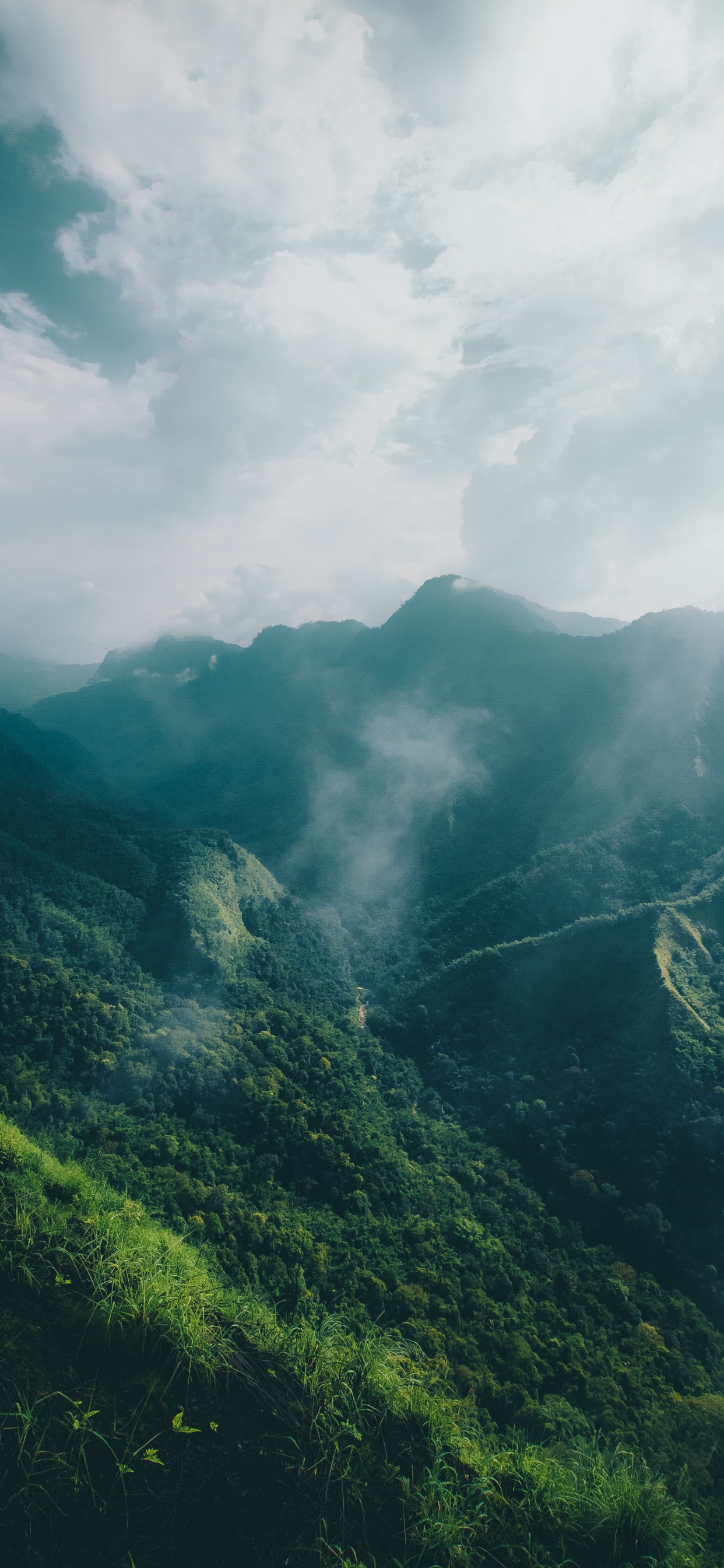 Highland, Les Reliefs Montagneux, Station de Montagne, Nature, Green. Wallpaper in 1242x2688 Resolution
