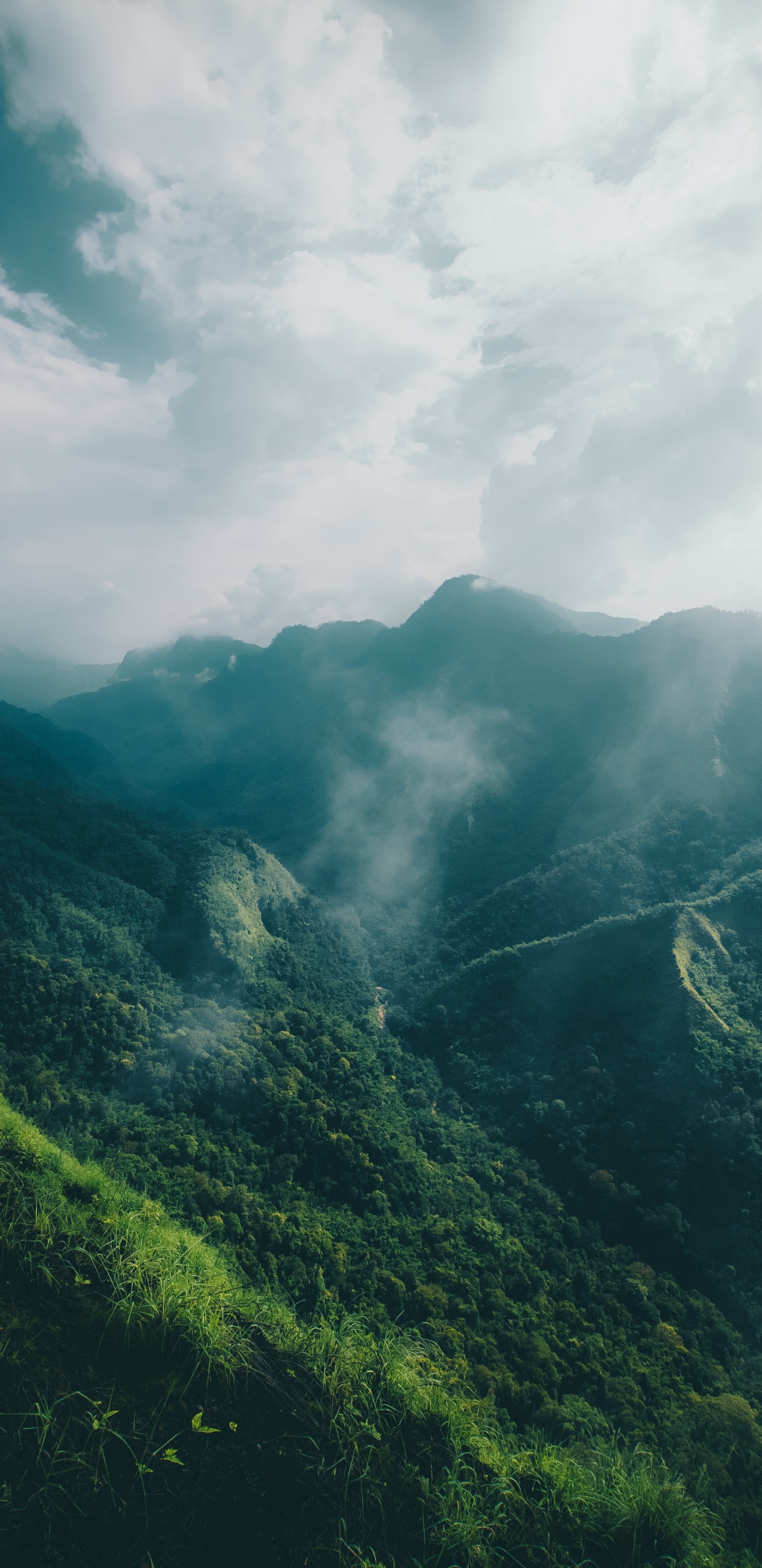 Highland, Las Formaciones Montañosas, Estación de la Colina, Montaña, Naturaleza. Wallpaper in 1440x2960 Resolution