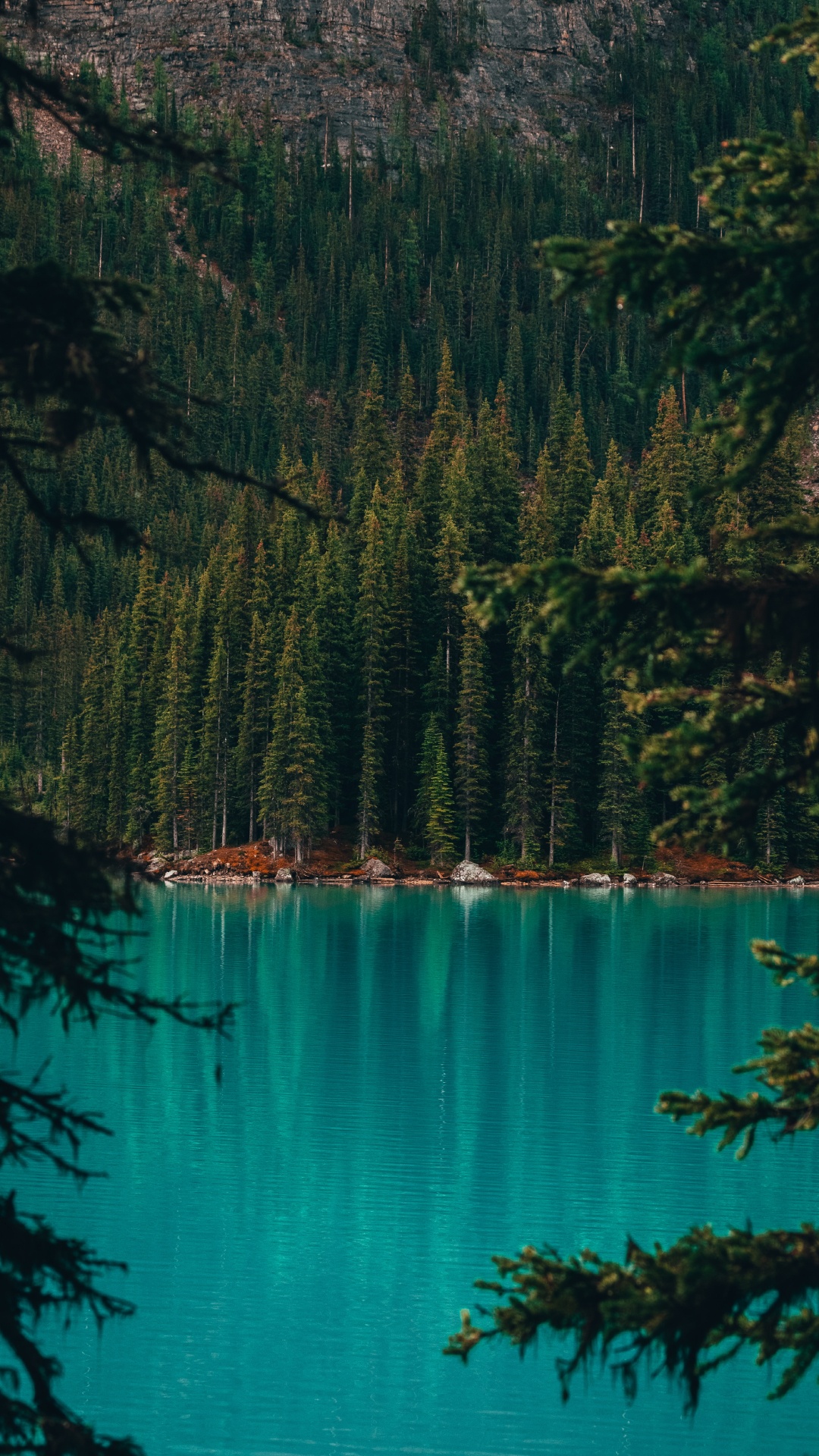 Moraine Lake, Lago, Naturaleza, Cuerpo de Agua, Paisaje Natural. Wallpaper in 1080x1920 Resolution