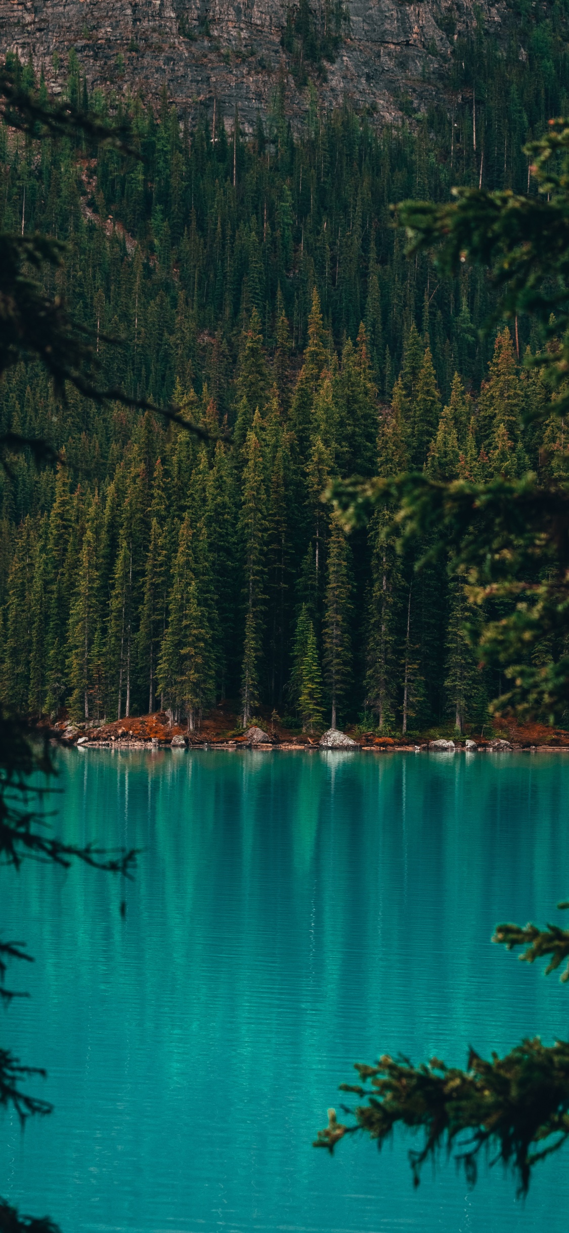 Moraine Lake, See, Wald, Natur, Gewässer. Wallpaper in 1125x2436 Resolution