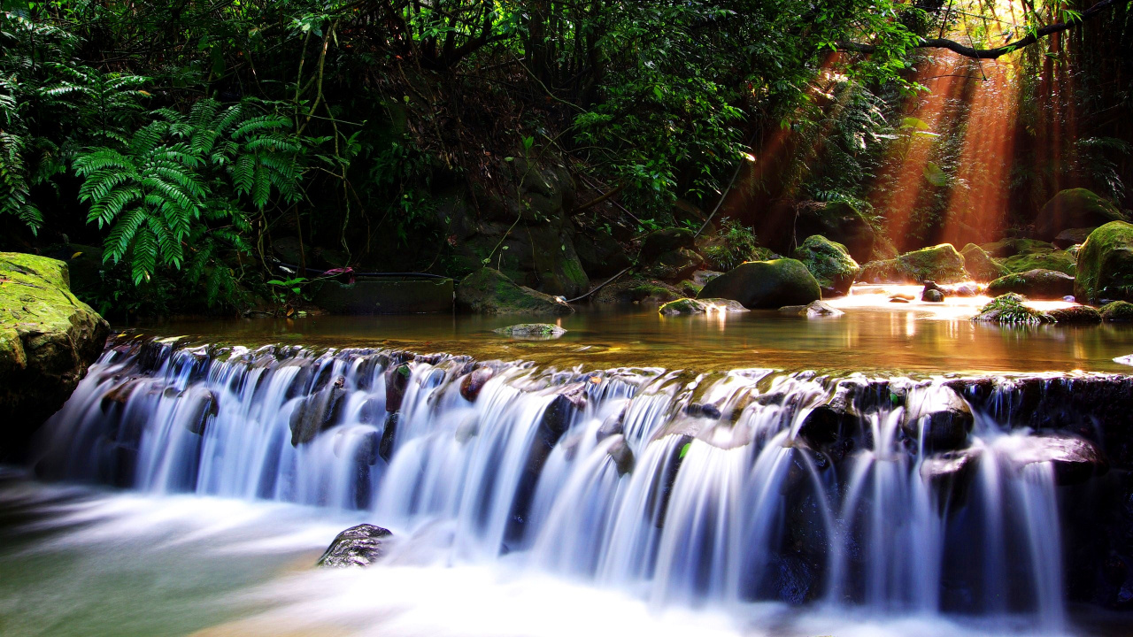 Cascadas en el Bosque Durante el Día.. Wallpaper in 1280x720 Resolution