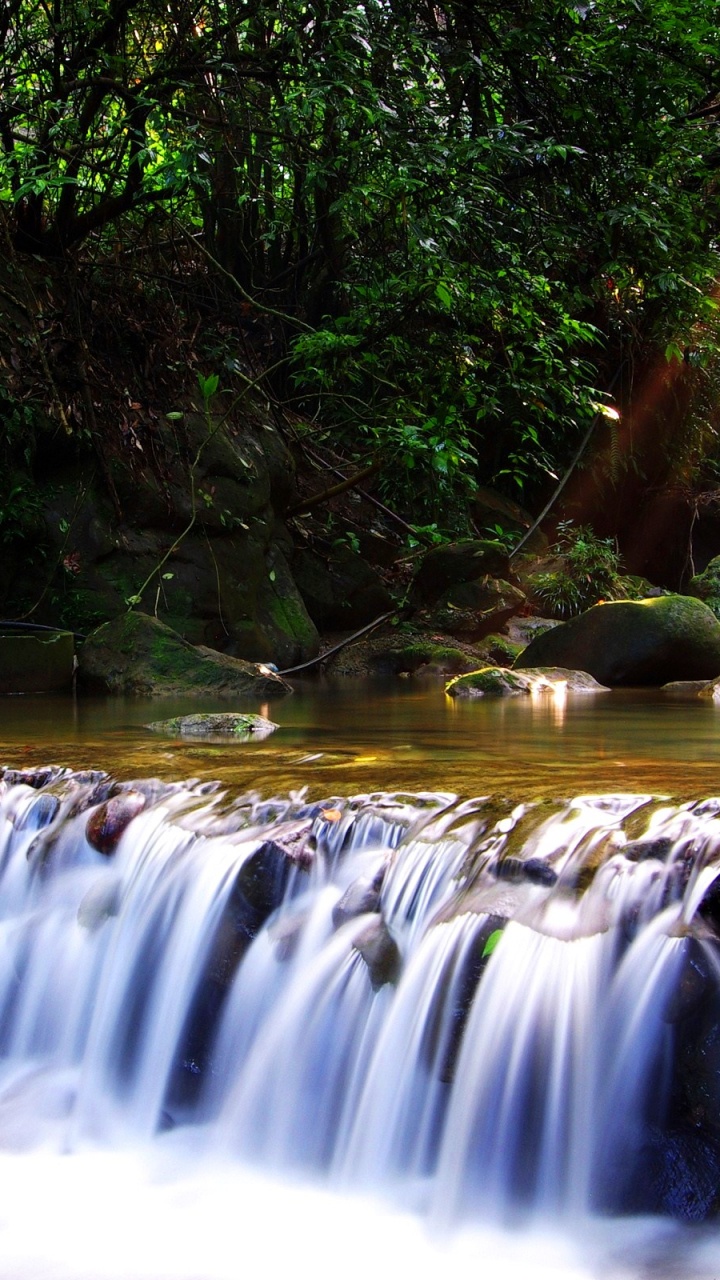 Cascadas en el Bosque Durante el Día.. Wallpaper in 720x1280 Resolution