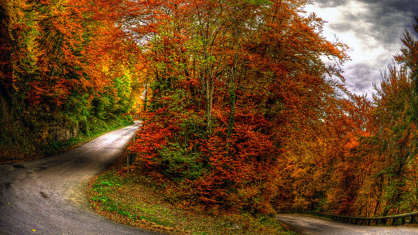 Camino de Hormigón Gris Entre Árboles Durante el Día. Wallpaper in 1366x768 Resolution