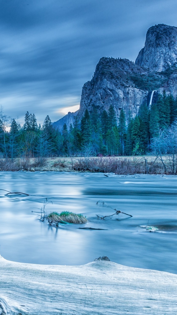 Bûche de Bois Marron Sur le Lac. Wallpaper in 720x1280 Resolution