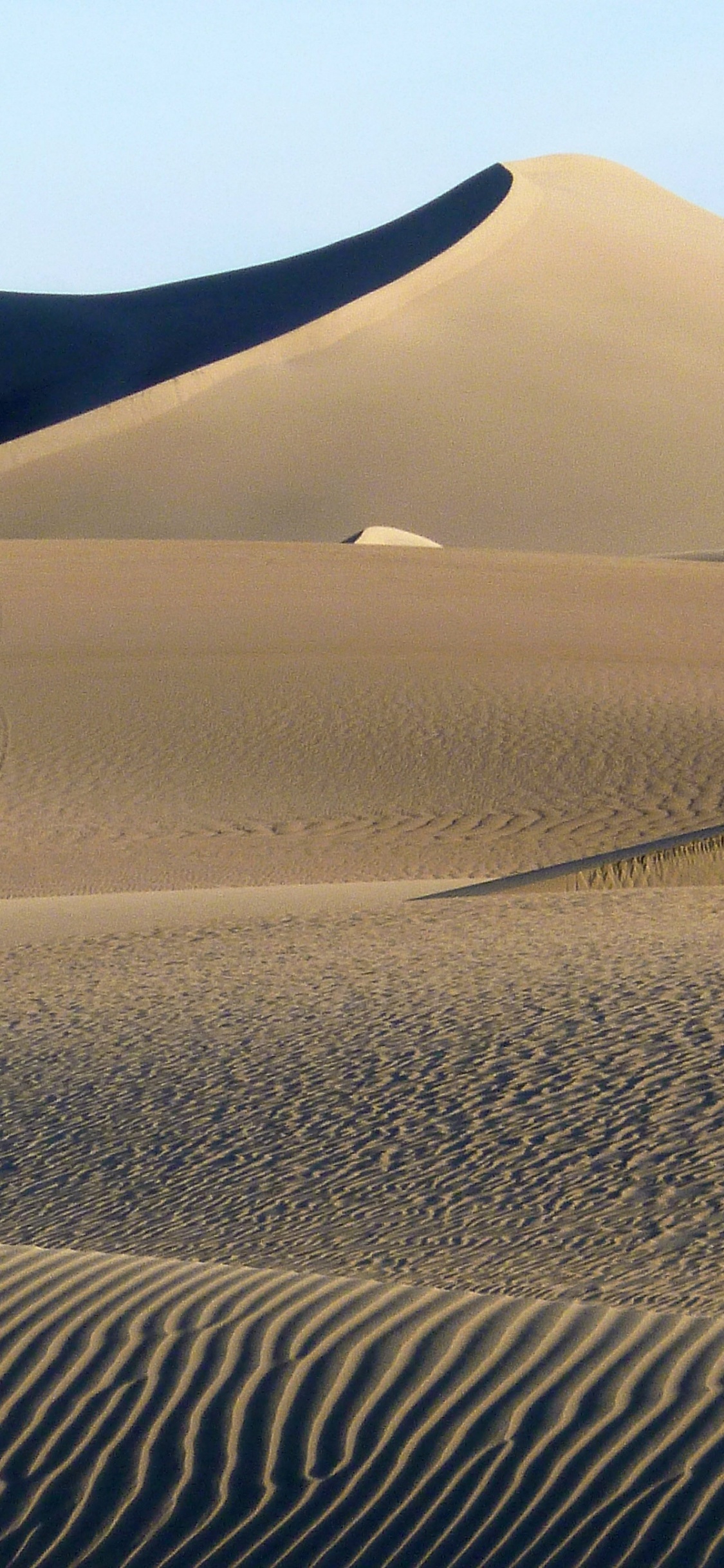 Tagsüber Braune Sanddünen. Wallpaper in 1125x2436 Resolution