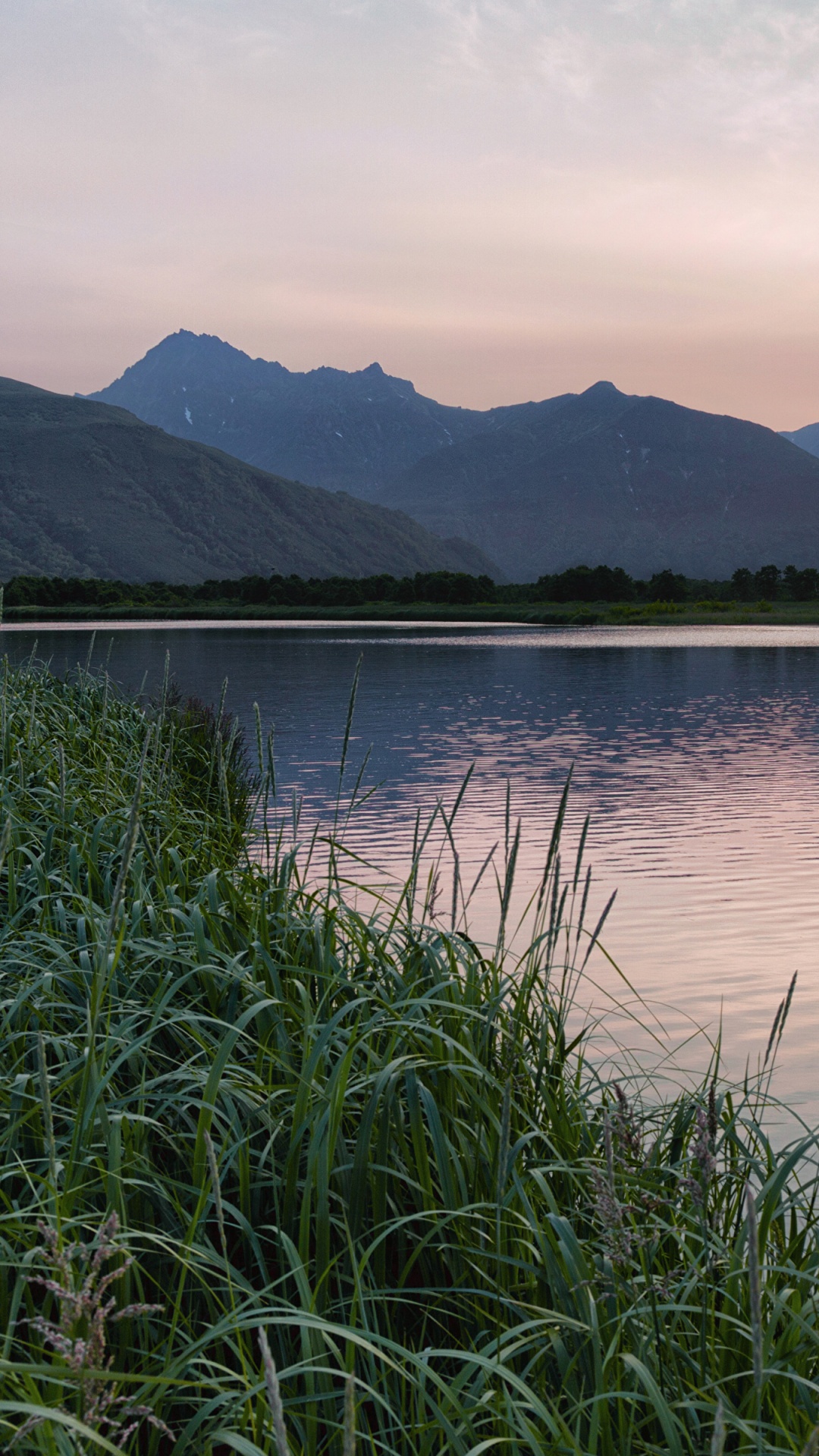 Green Grass Near Body of Water During Daytime. Wallpaper in 1080x1920 Resolution