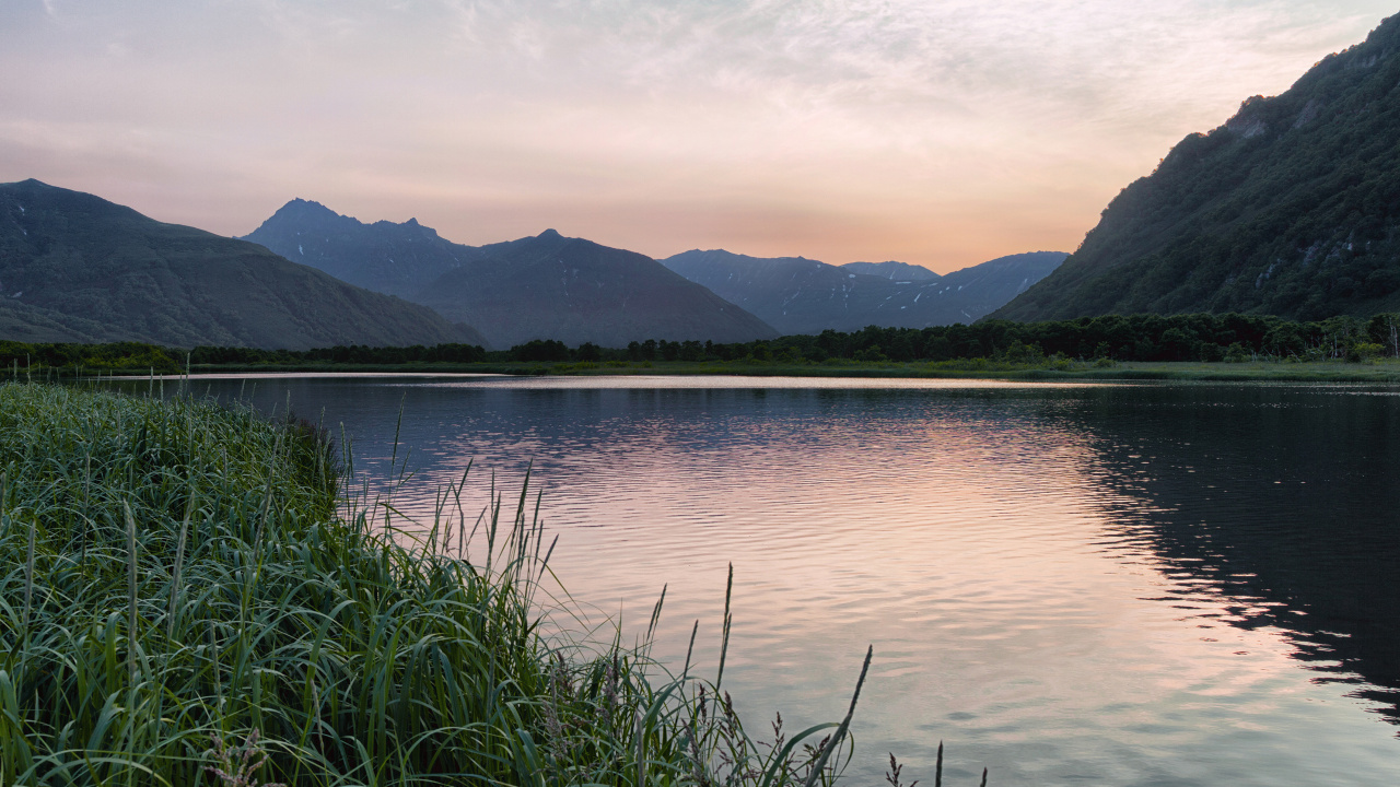 Green Grass Near Body of Water During Daytime. Wallpaper in 1280x720 Resolution