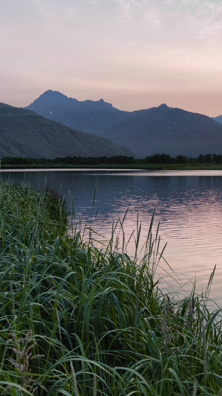 Green Grass Near Body of Water During Daytime. Wallpaper in 720x1280 Resolution