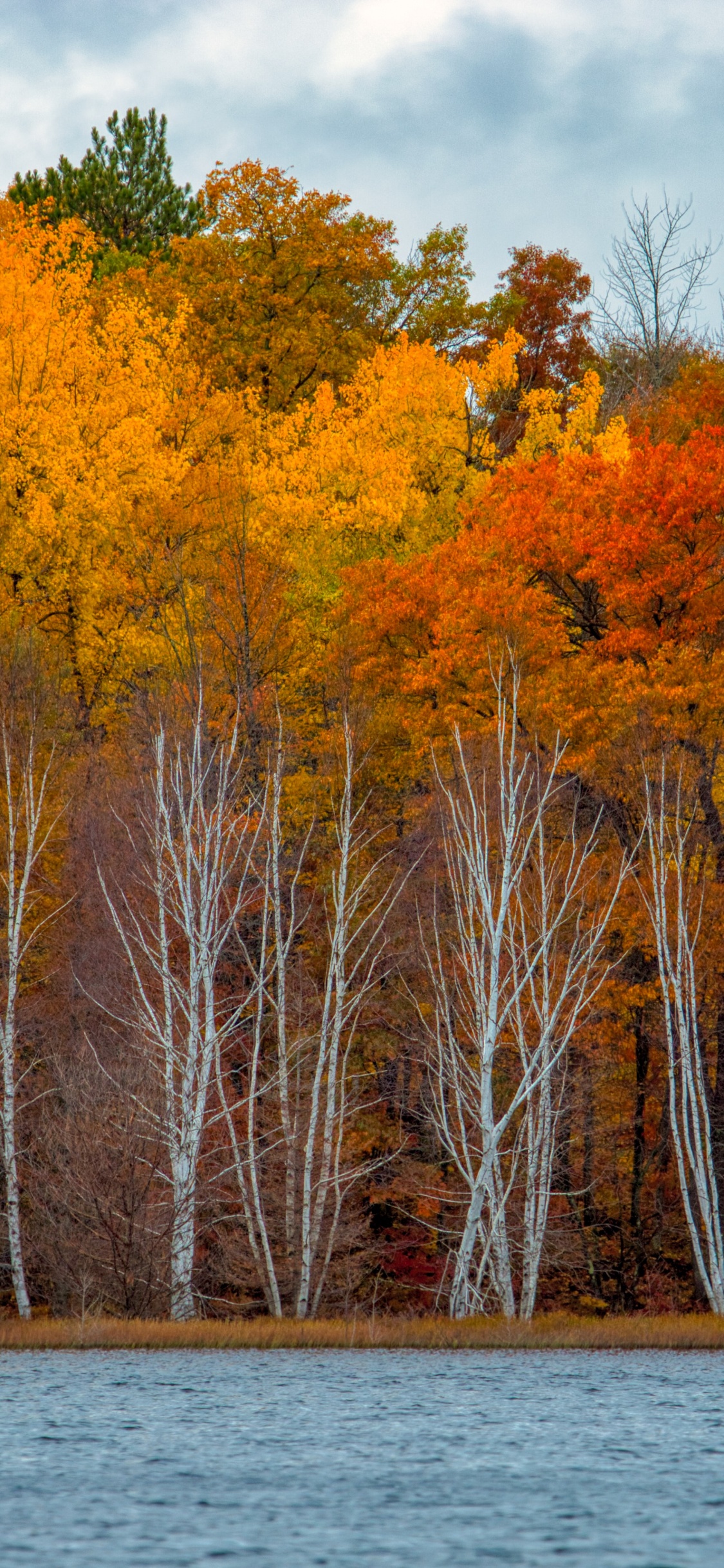 Réflexion, Eagle River, Eau, la Journée, L'écorégion. Wallpaper in 1125x2436 Resolution