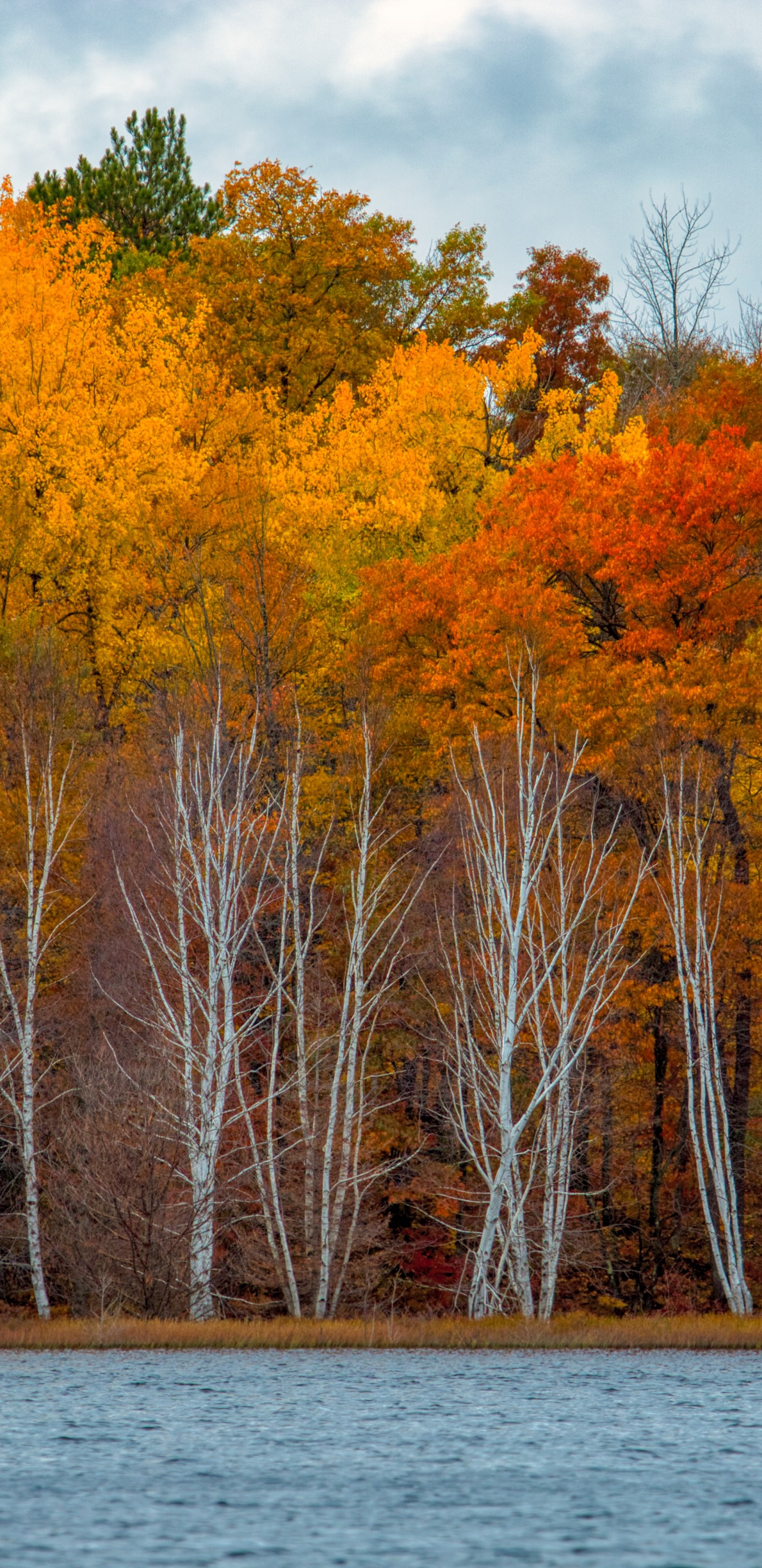 Réflexion, Eagle River, Eau, la Journée, L'écorégion. Wallpaper in 1440x2960 Resolution