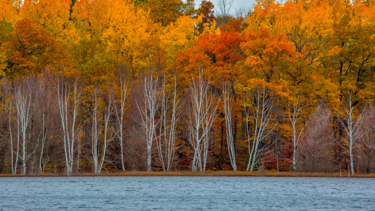 Reflexion, Eagle River, Wasser, Tageszeit, Ökoregion. Wallpaper in 1280x720 Resolution