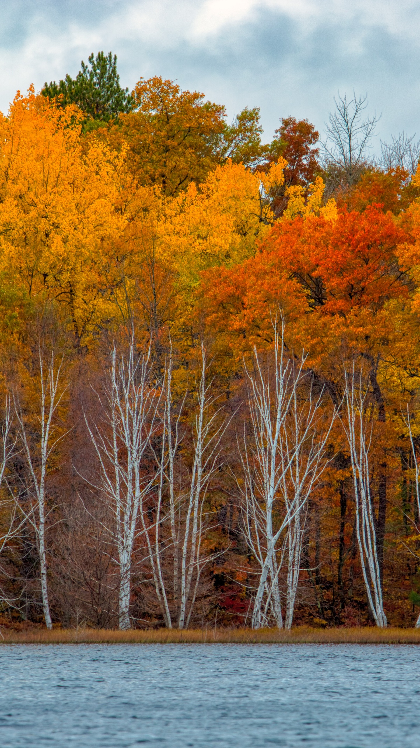 Reflexion, Eagle River, Wasser, Tageszeit, Ökoregion. Wallpaper in 1440x2560 Resolution