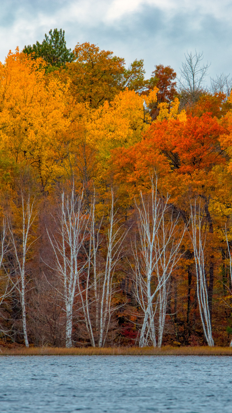 Reflexion, Eagle River, Wasser, Tageszeit, Ökoregion. Wallpaper in 750x1334 Resolution