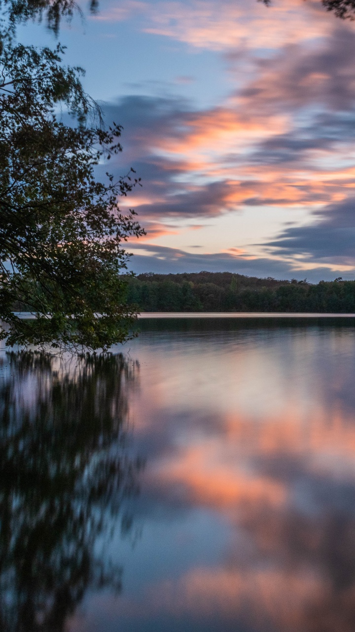 Wasser, Baum, Reflexion, Natur, Naturlandschaft. Wallpaper in 720x1280 Resolution