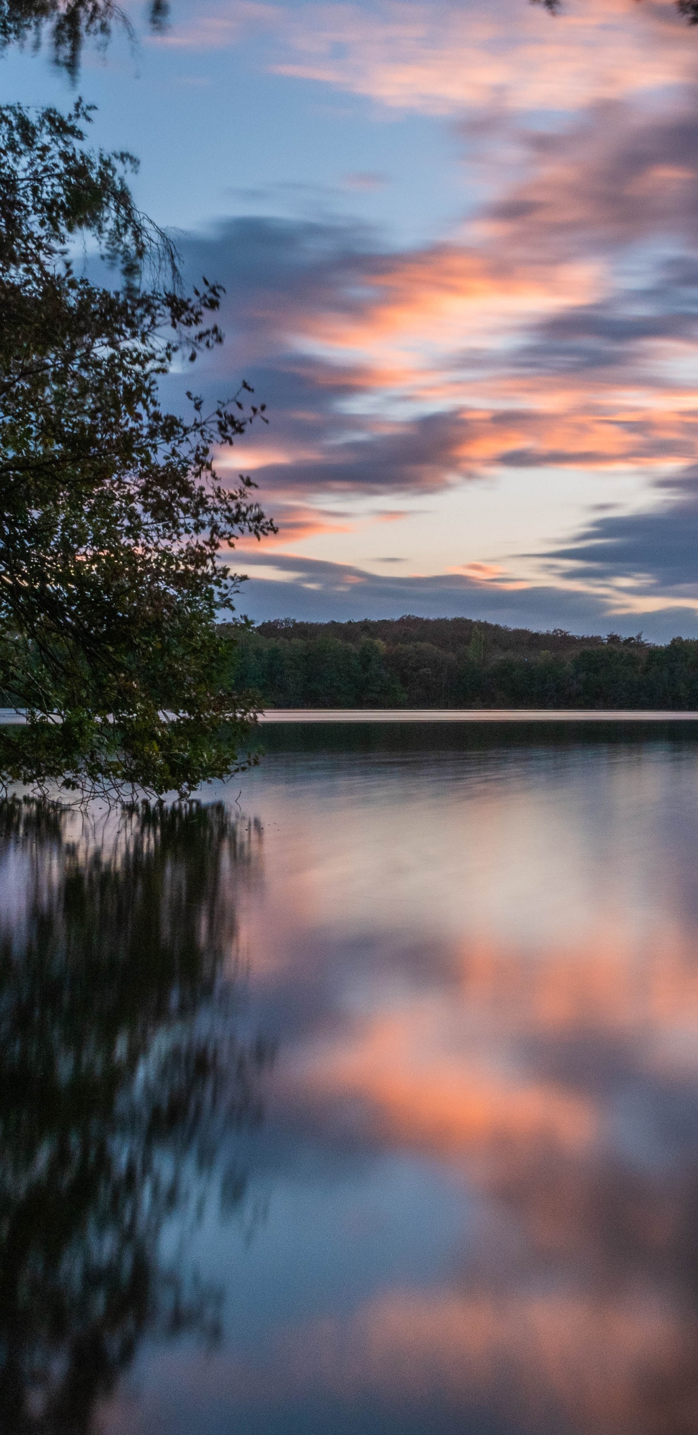 Water, Tree, Reflection, Nature, Natural Landscape. Wallpaper in 1440x2960 Resolution