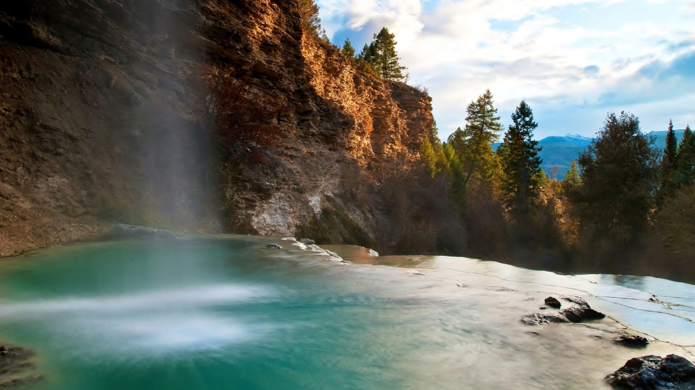 Grüne Bäume in Der Nähe Von Gewässern Tagsüber Water. Wallpaper in 1366x768 Resolution