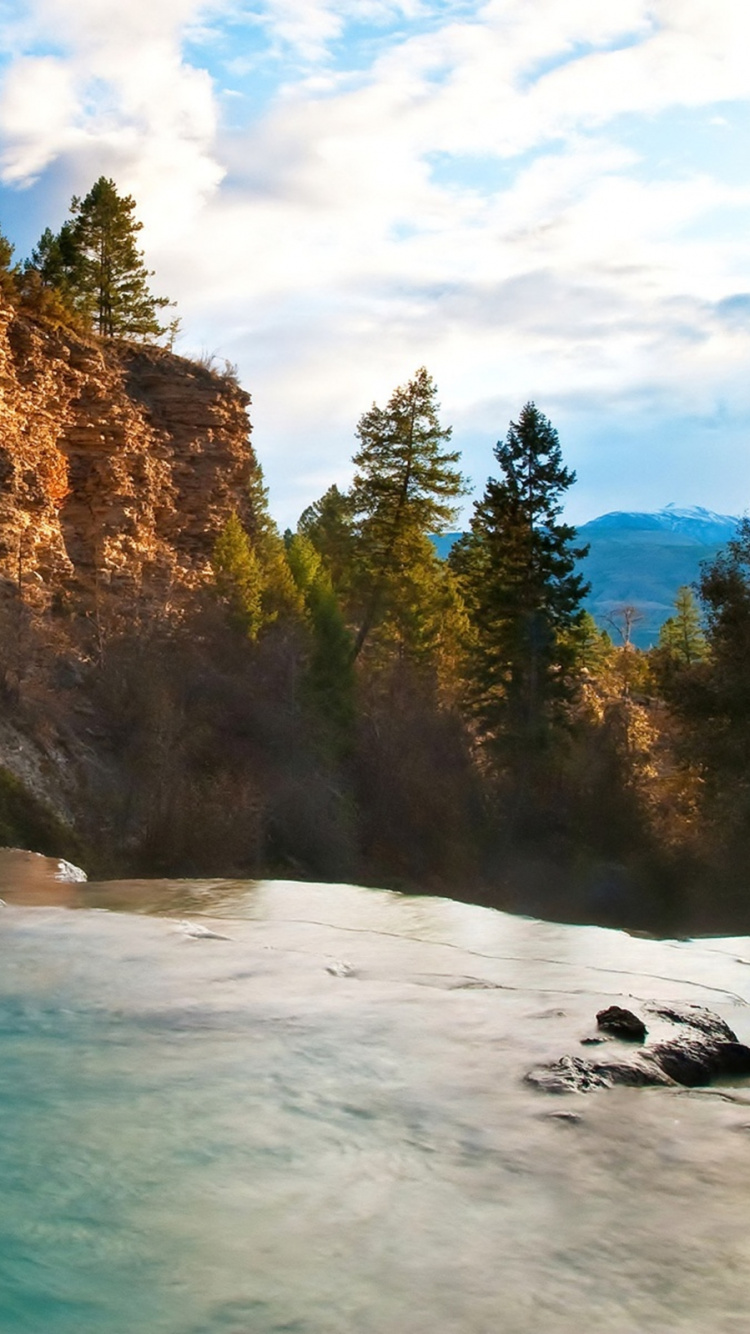 Grüne Bäume in Der Nähe Von Gewässern Tagsüber Water. Wallpaper in 750x1334 Resolution