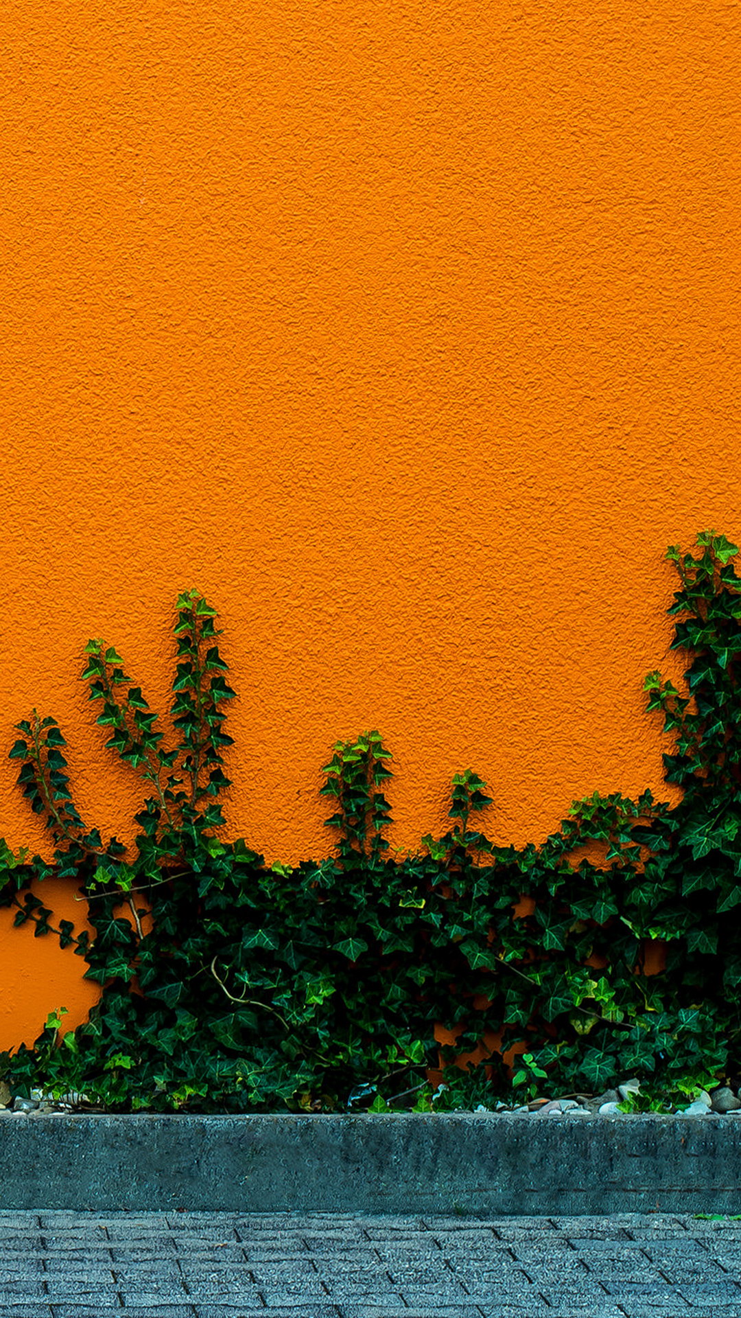 Gänseblümchen-Häkel- Und Modewelt, Ökoregion, Naturlandschaft, Orange, Fenster. Wallpaper in 1080x1920 Resolution