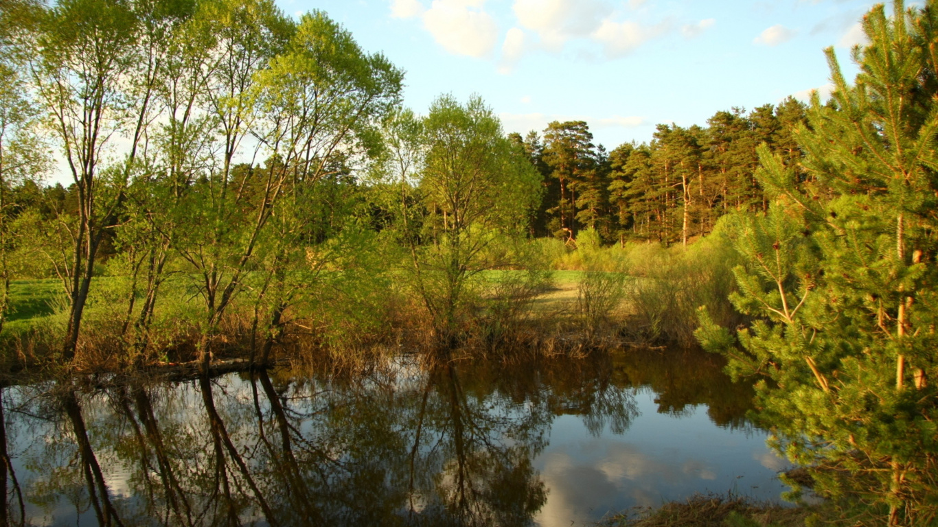 Grüne Bäume Neben Dem Fluss Unter Blauem Himmel Tagsüber. Wallpaper in 1366x768 Resolution