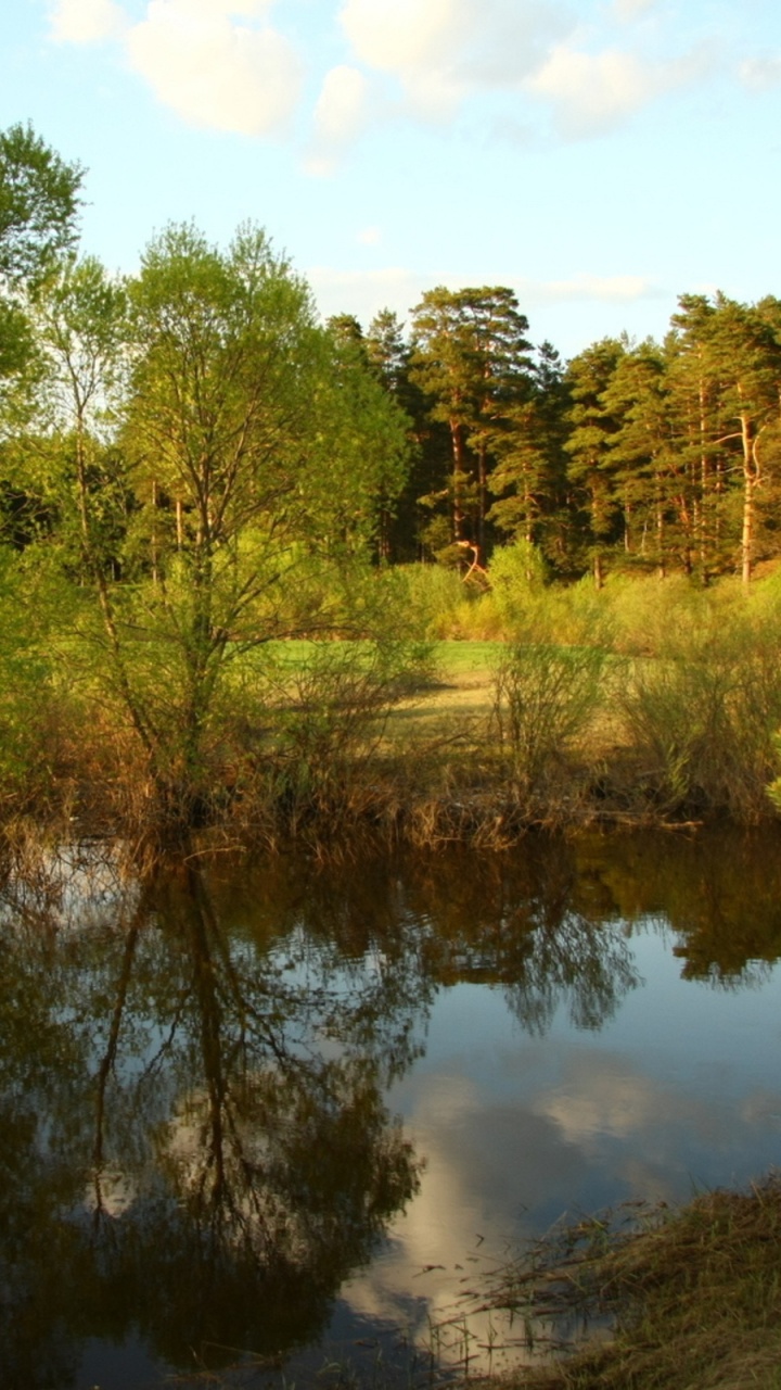 Green Trees Beside River Under Blue Sky During Daytime. Wallpaper in 720x1280 Resolution