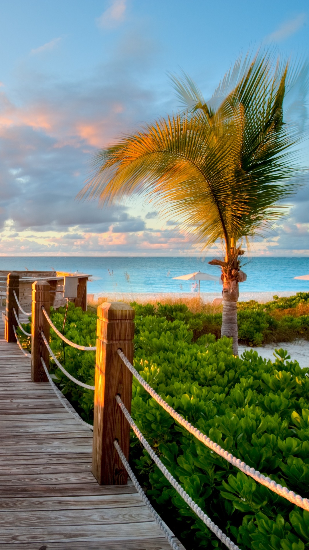 Brown Wooden Dock Near Body of Water During Daytime. Wallpaper in 1080x1920 Resolution