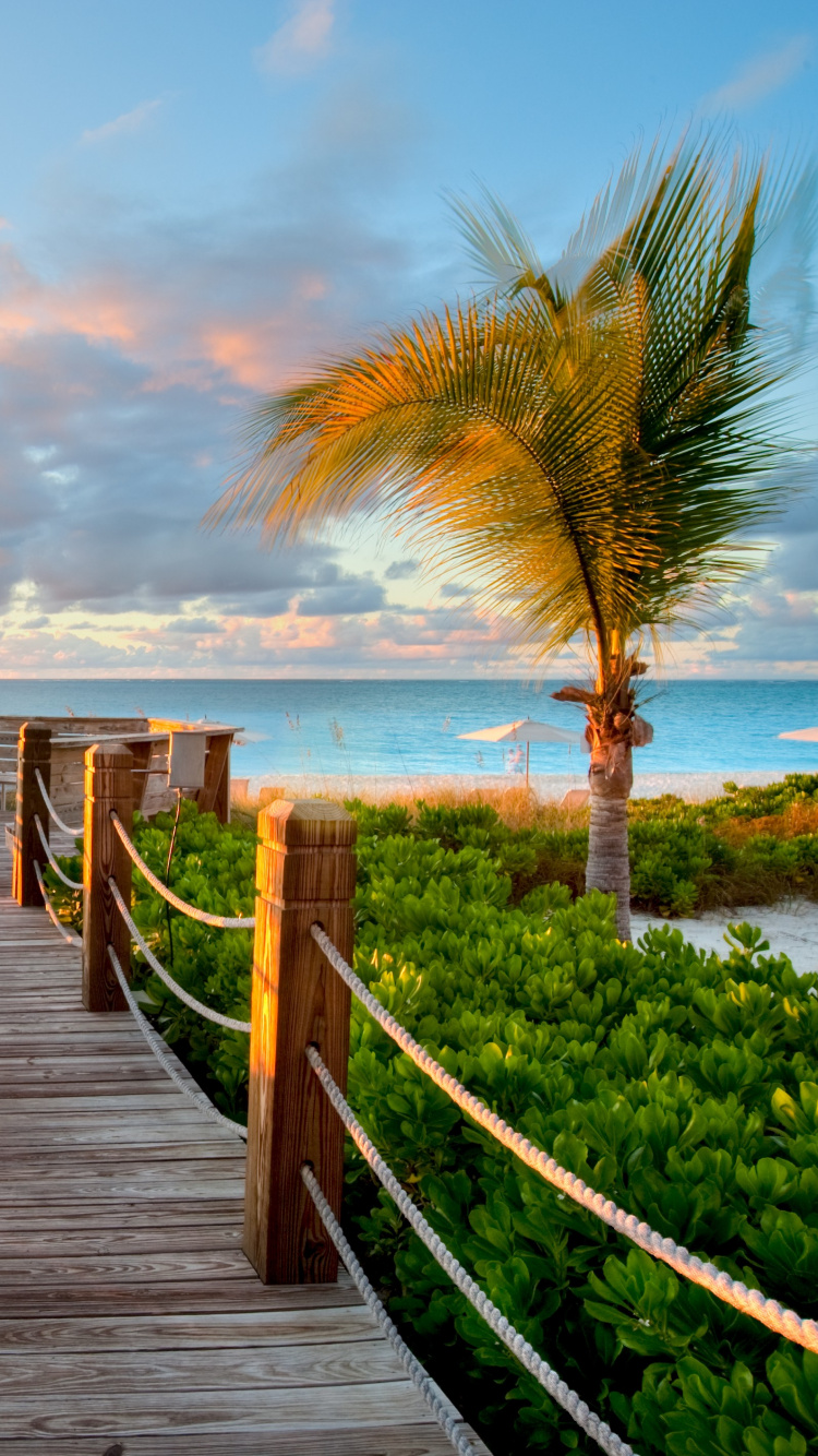 Brown Wooden Dock Near Body of Water During Daytime. Wallpaper in 750x1334 Resolution