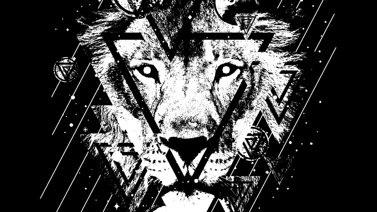 Black and White Lion Sketch. Wallpaper in 1280x720 Resolution