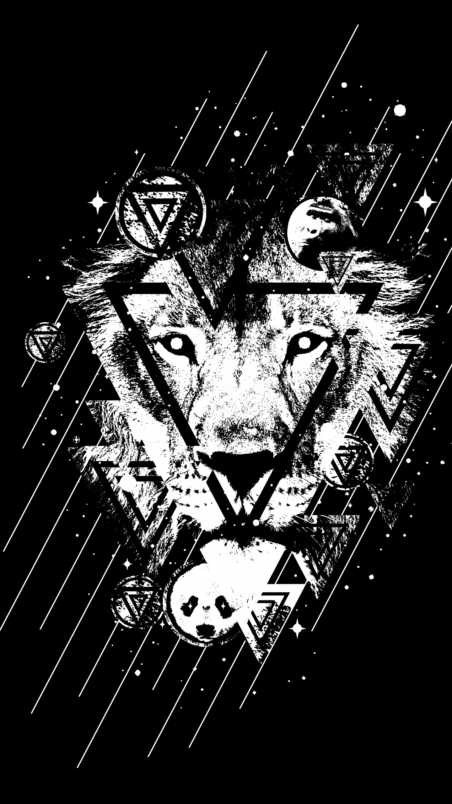 Bosquejo de León Blanco y Negro. Wallpaper in 1440x2560 Resolution